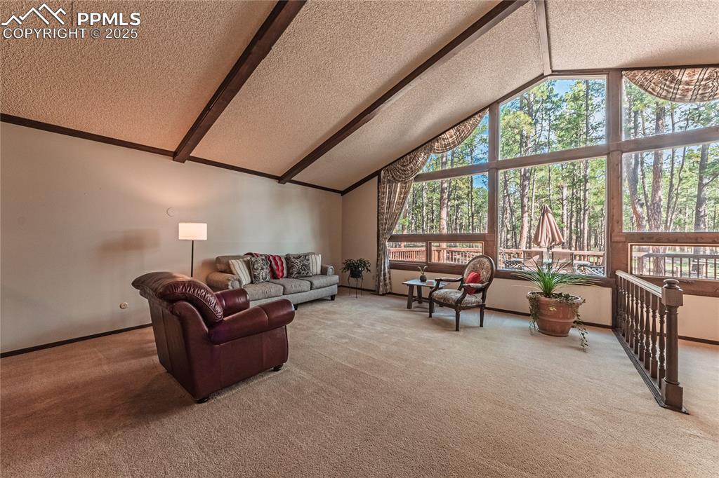 7190 Burgess Road Colorado Springs, CO 80908 - Photo 8 of 50 a living room with furniture and a floor to ceiling window