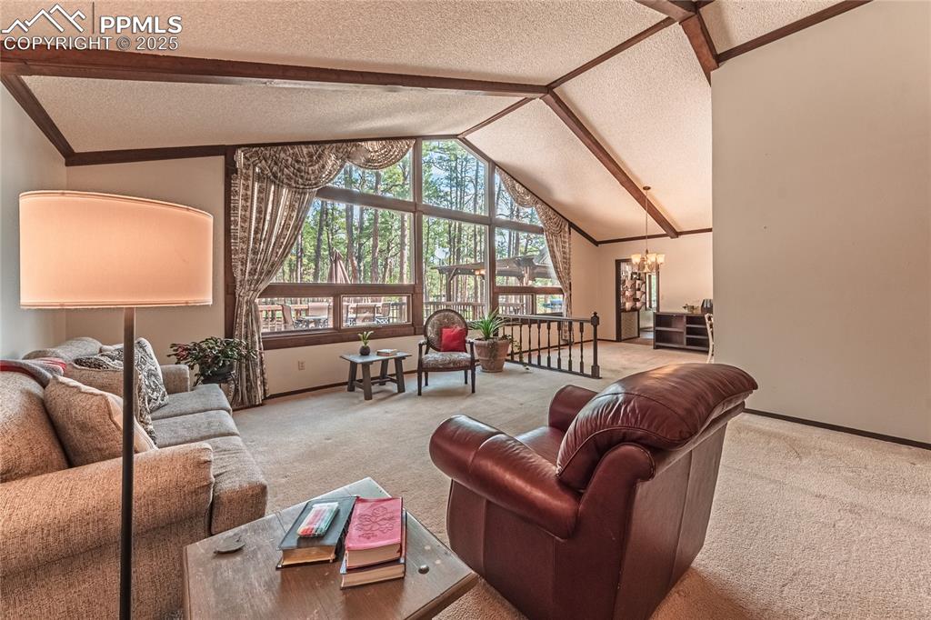 7190 Burgess Road Colorado Springs, CO 80908 - Photo 9 of 50 a living room with furniture and a floor to ceiling window