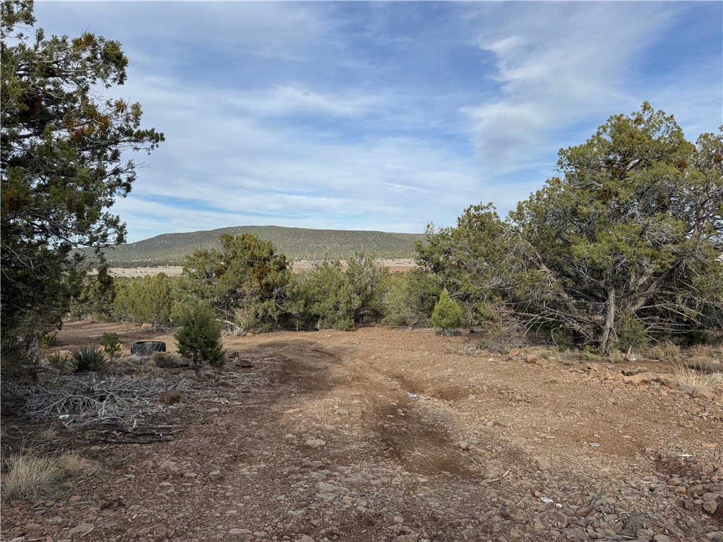 34745 West Running Shadow Road Seligman, AZ 86337 - Photo 4 of 52