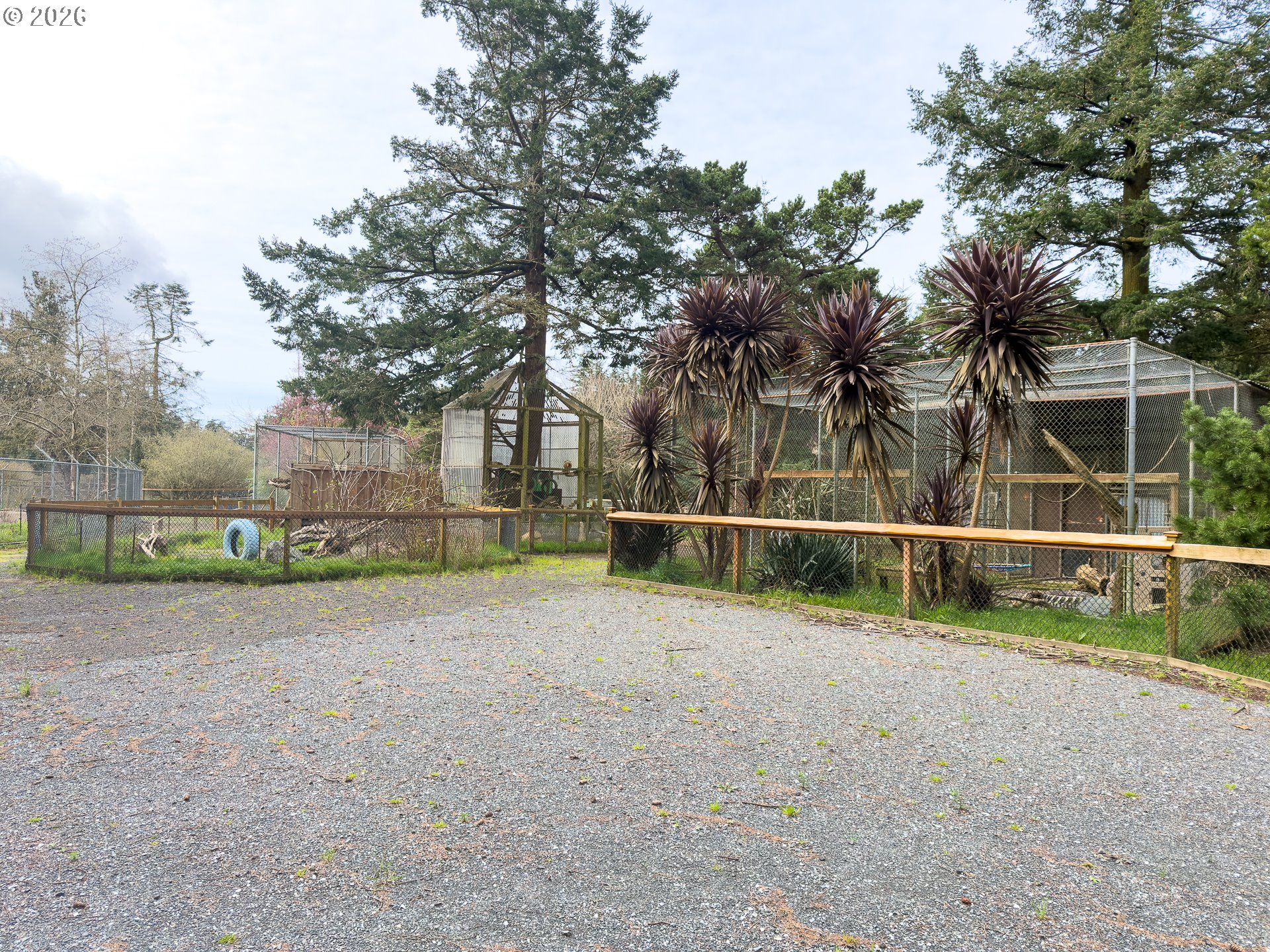 46914 Highway 101 Bandon, OR 97411 - Photo 20 of 48 a view of a backyard