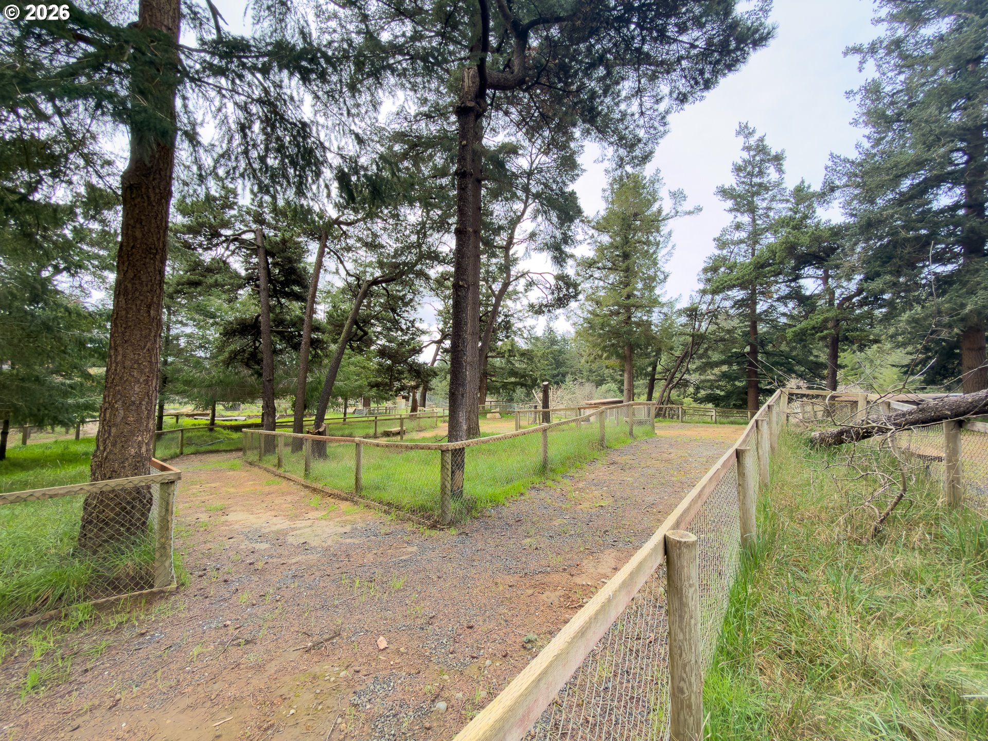 46914 Highway 101 Bandon, OR 97411 - Photo 21 of 48 a view of a park with large trees