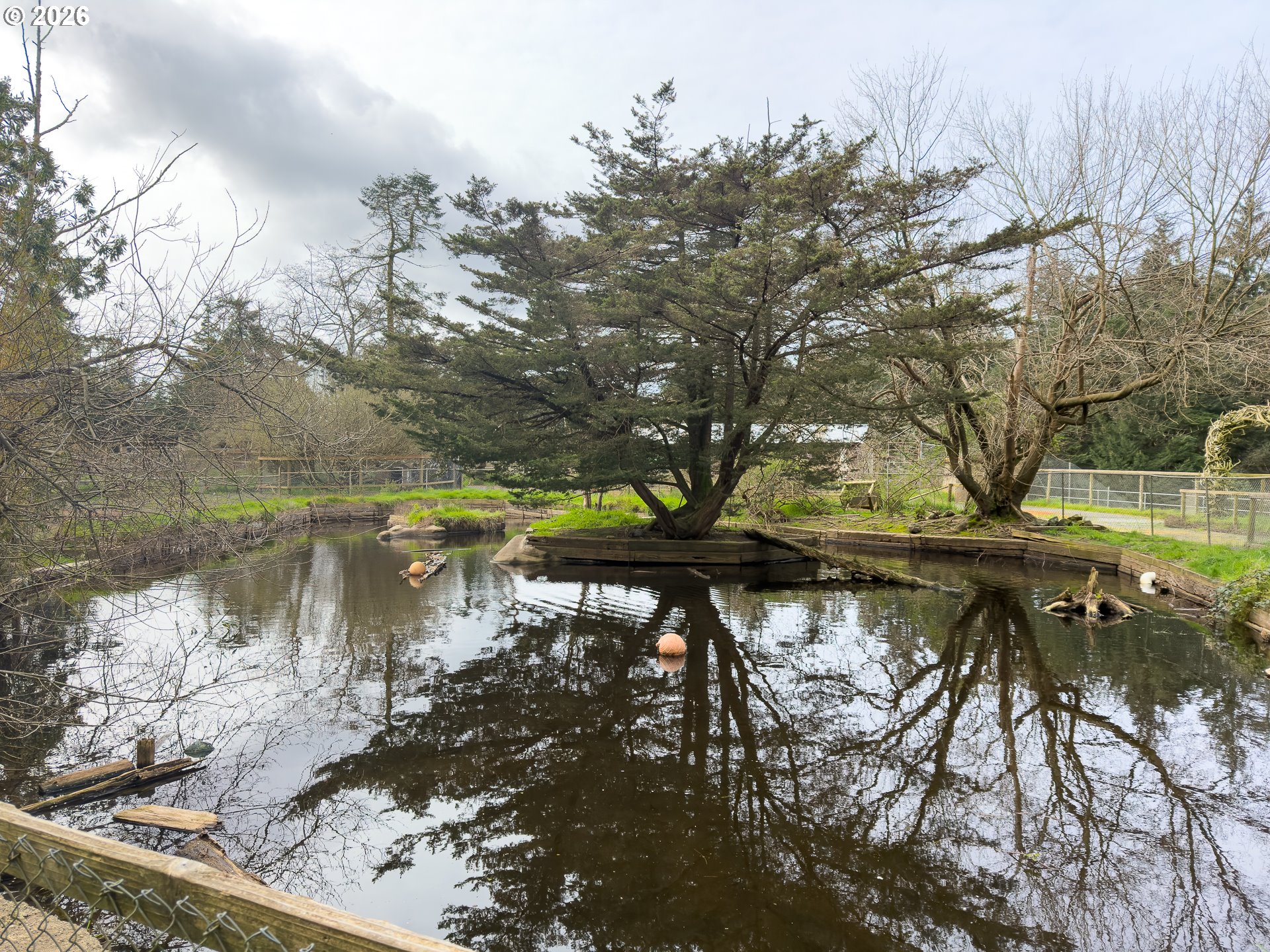 46914 Highway 101 Bandon, OR 97411 - Photo 22 of 48 a view of a lake with a tree