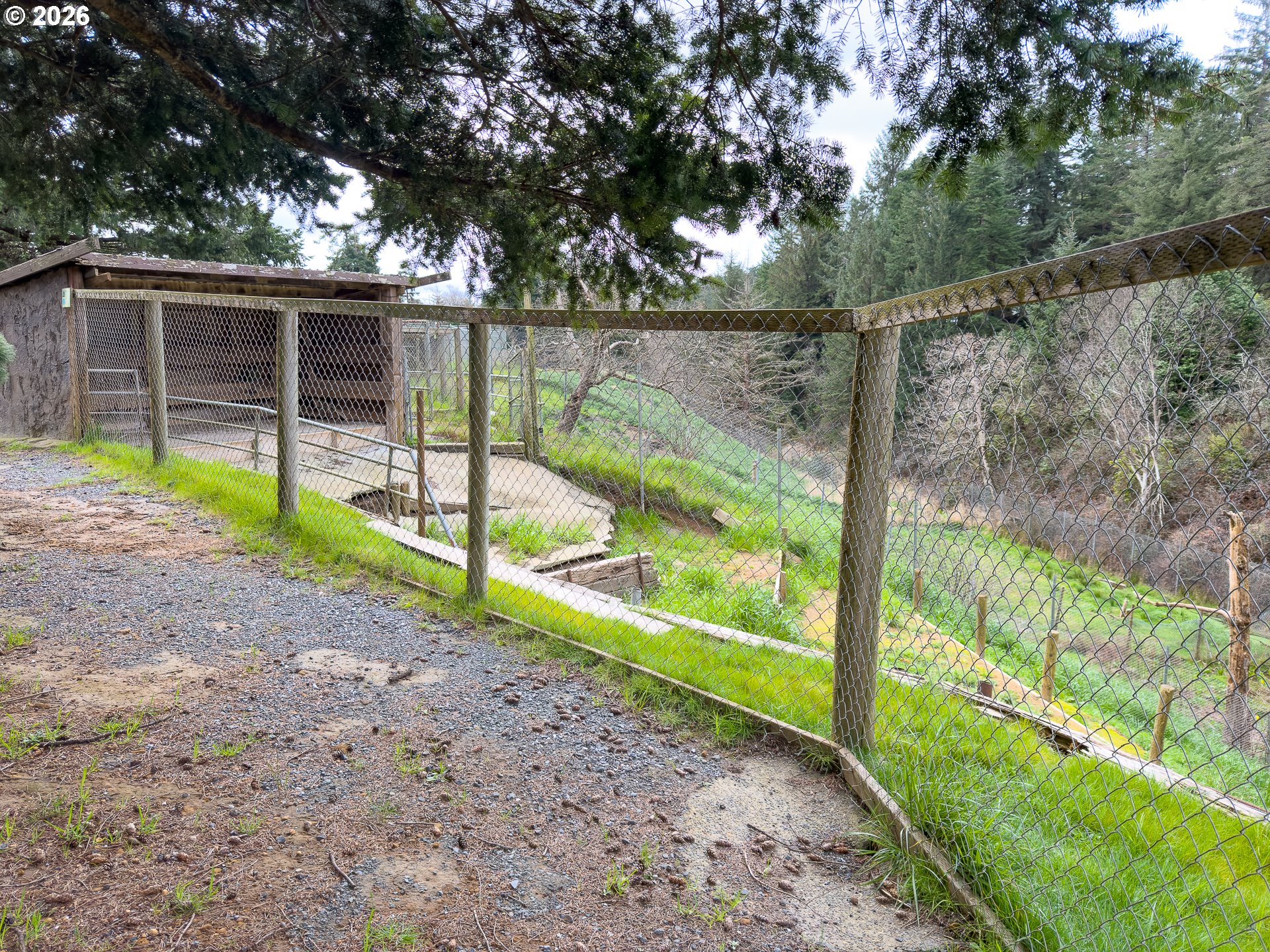 46914 Highway 101 Bandon, OR 97411 - Photo 30 of 48 a view of a park with large trees