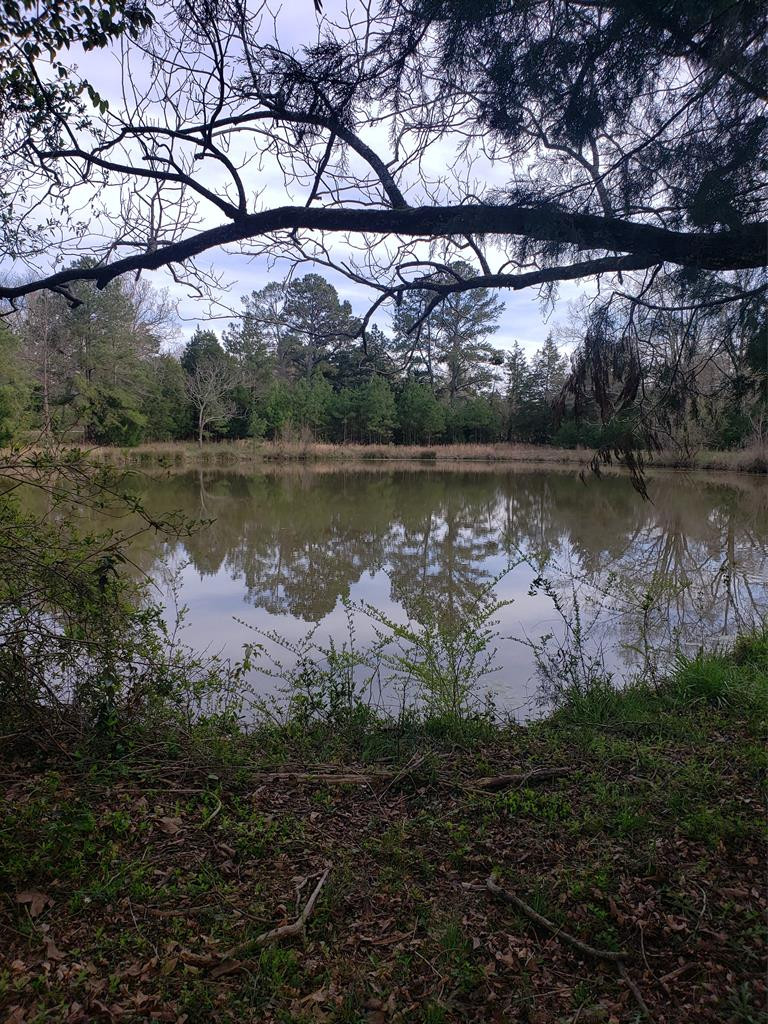 13 Meeting Street Road Edgefield, SC 29824 - Photo 31 of 37