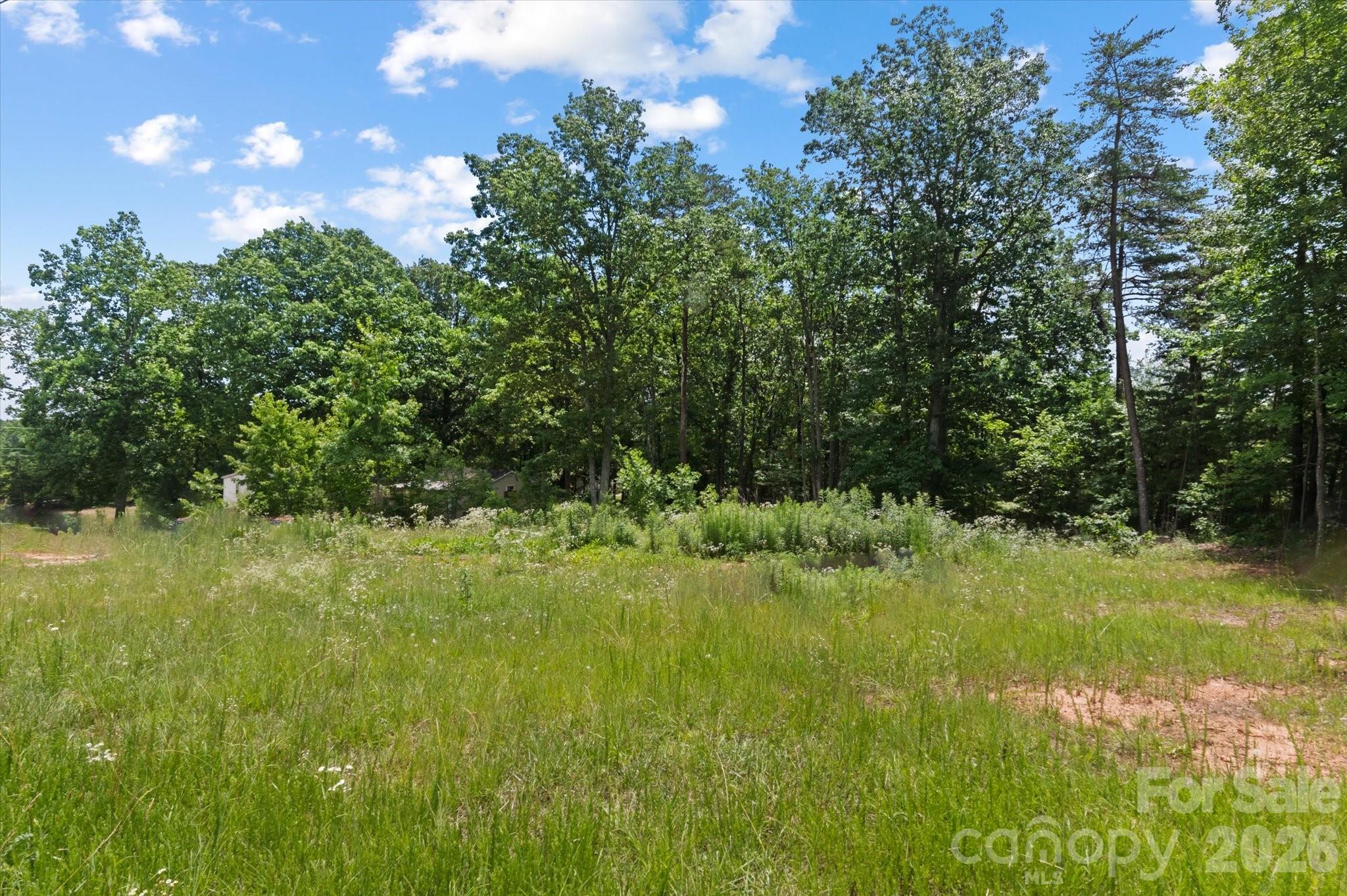 1223 Deer Park Road Nebo, NC 28761 - Photo 6 of 35
