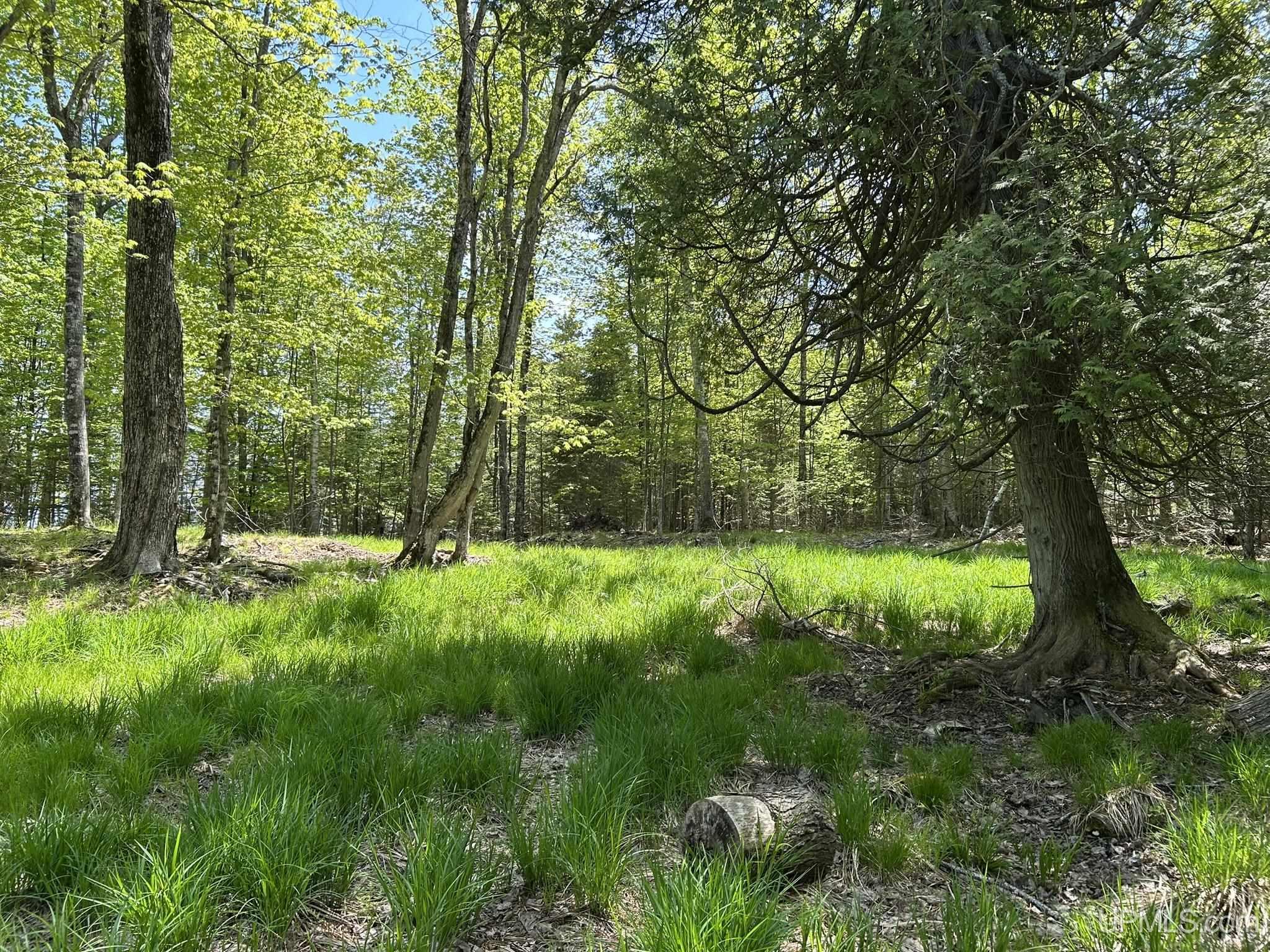 Tbd Lighthouse Road Big Bay, MI 49808 - Photo 10 of 12