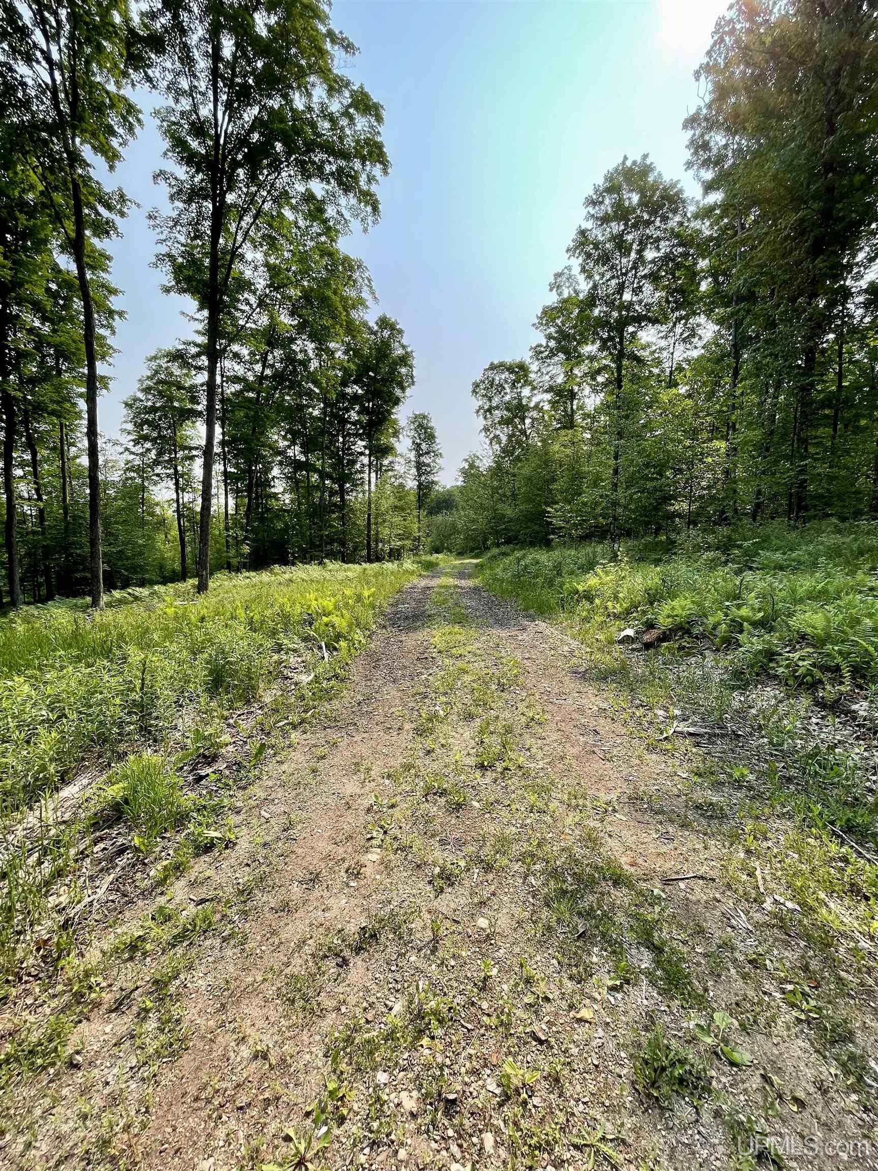 Nine Rd Felch Mi 49831 Road Felch, MI 49831 - Photo 14 of 16