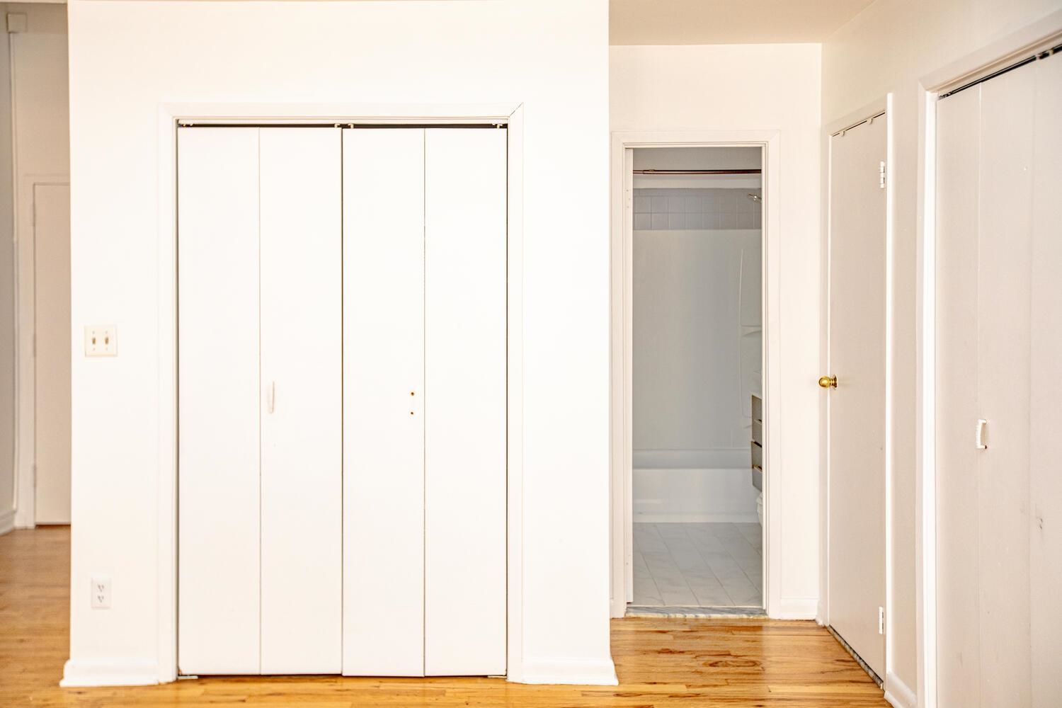 341 Monmouth Street, Unit 203D Jersey City, NJ 07302 - Photo 11 of 23 a view of walk in closet