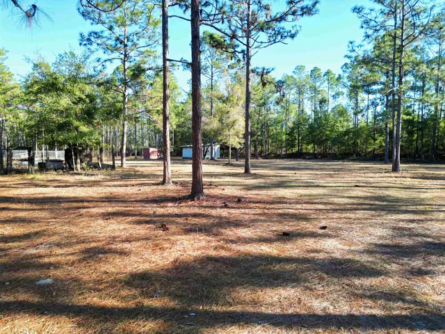 $130,000 | 13563 Southwest Forest Road 141, Bristol, FL 32321