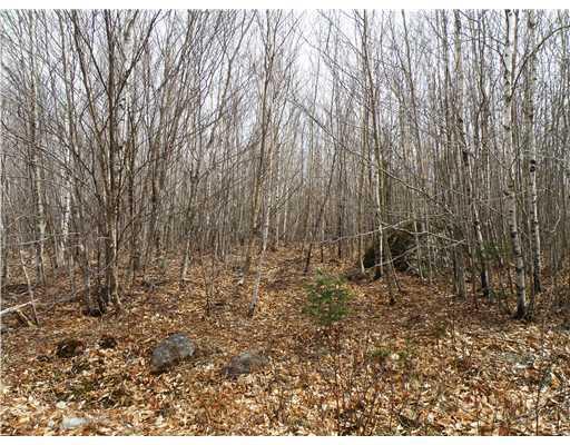 Lot 16 Eleanor Mae Road Deblois, ME 04622 - Photo 6 of 9 Exterior Front. Interior