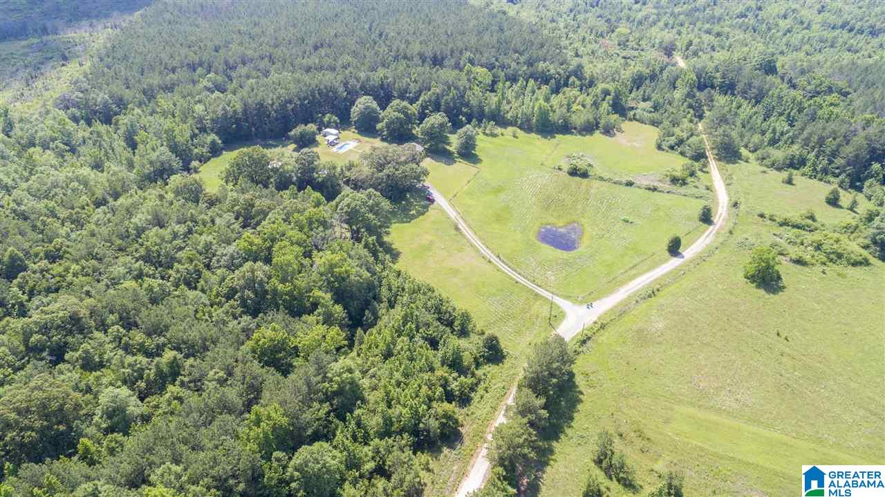 223 Drummond Road Talladega, AL 35160 - Photo 28 of 31