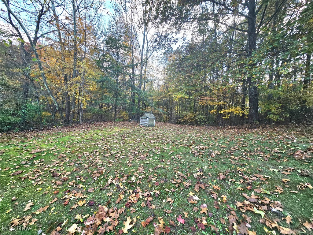 8019 Kroft Road Mount Perry, OH 43760 - Photo 14 of 41 View of green lawn with a storage unit