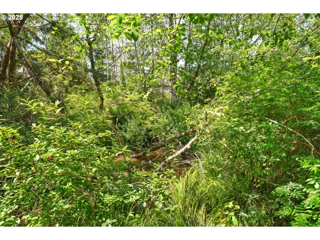 a view of a lush green forest
