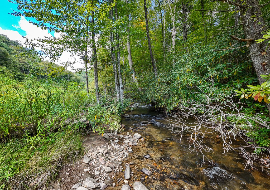 9765 Little Snowbird Road Robbinsville, NC 28771 - Photo 19 of 34