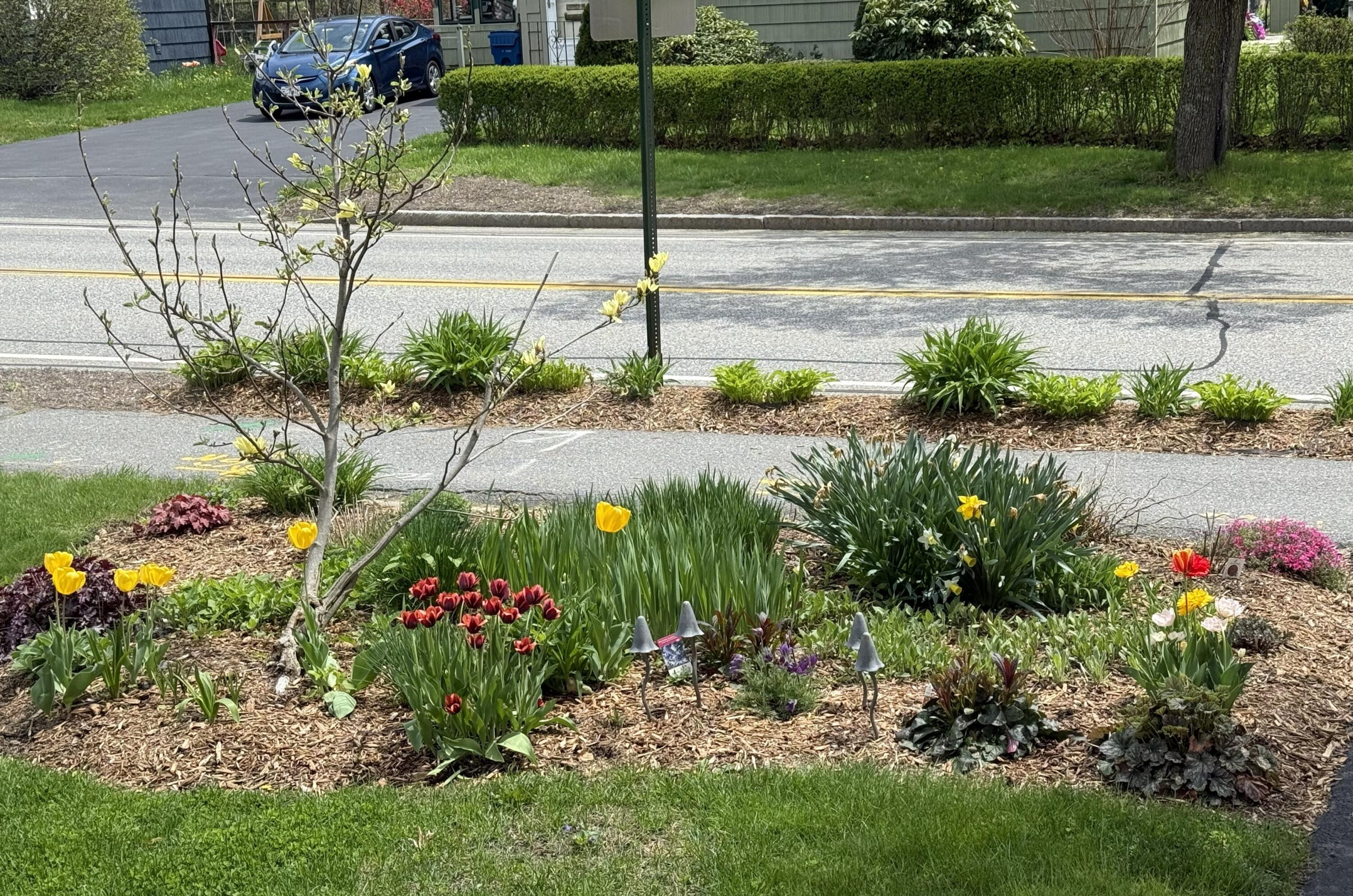 428 Allen Avenue Portland, ME 04103 - Photo 4 of 85 428 Allen2