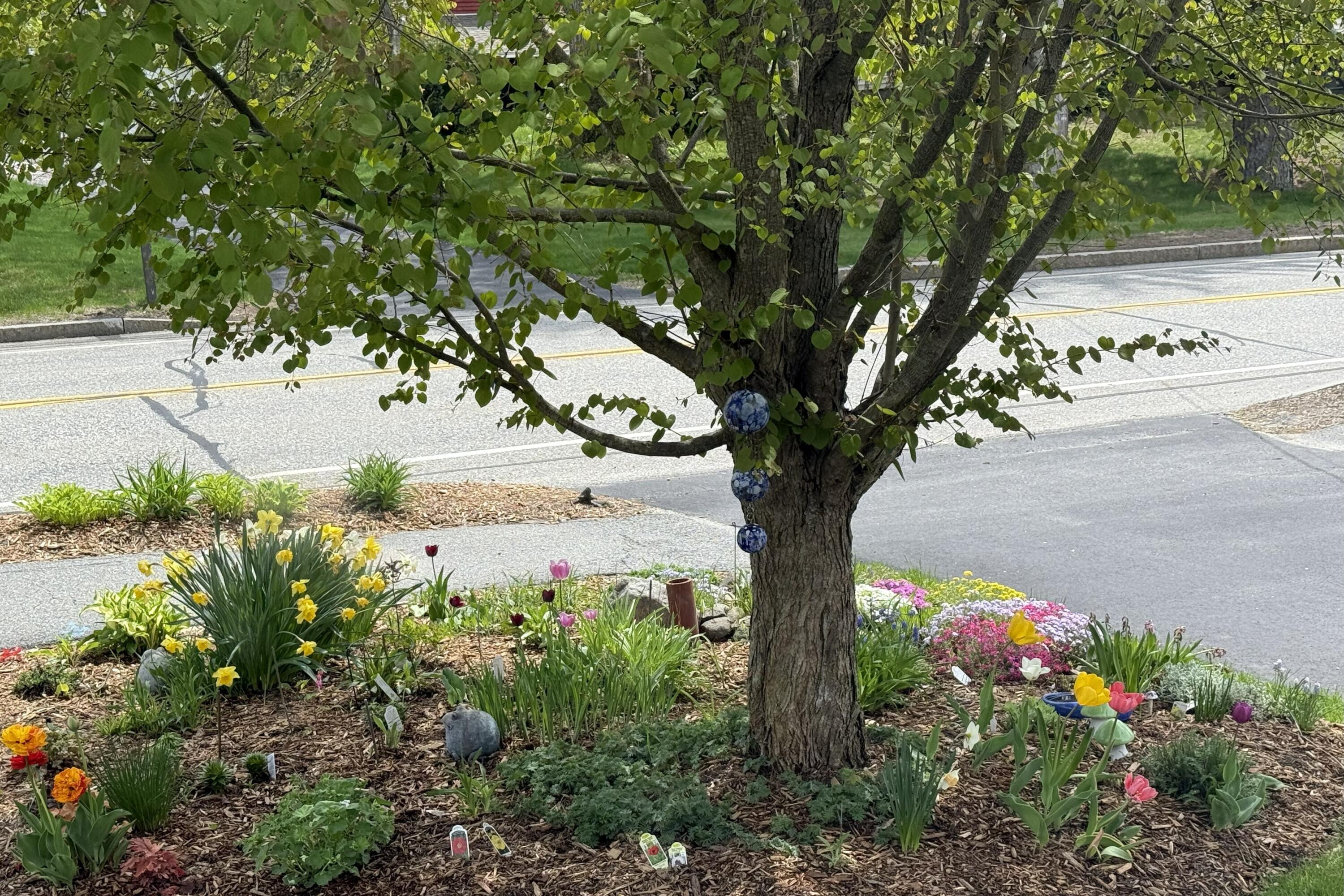 428 Allen Avenue Portland, ME 04103 - Photo 76 of 85 428 Allen1