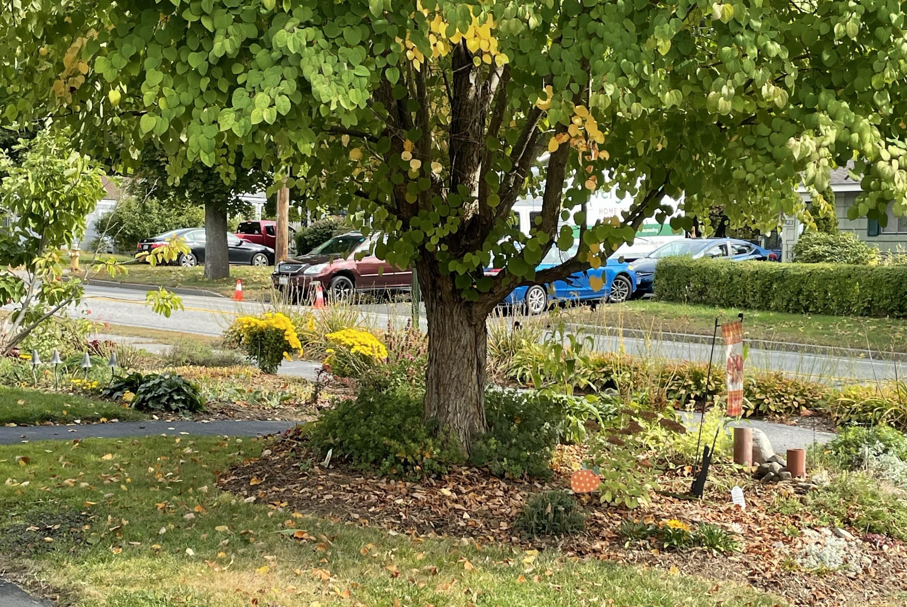 428 Allen Avenue Portland, ME 04103 - Photo 77 of 85 428 Allen4