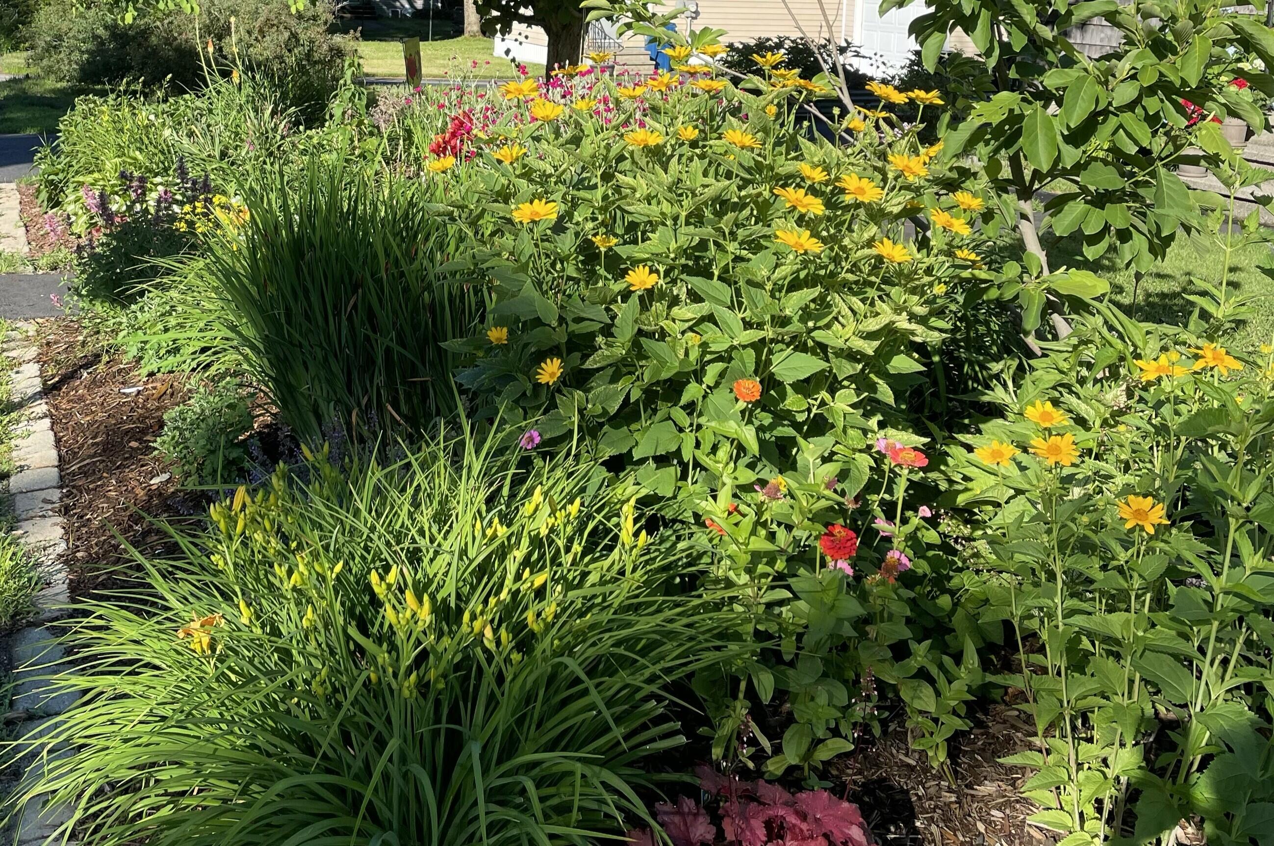 428 Allen Avenue Portland, ME 04103 - Photo 78 of 85 428 Allen9