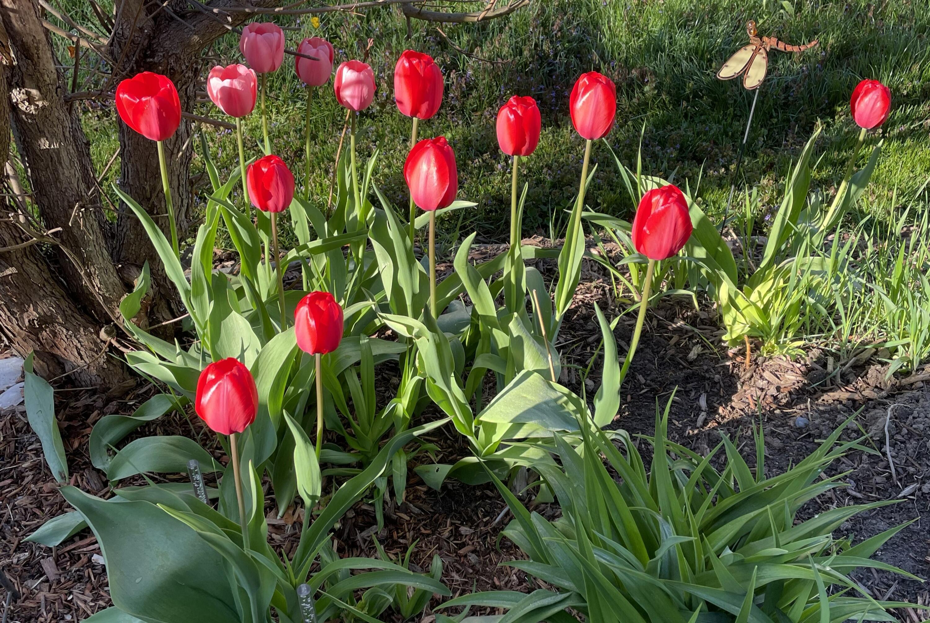 428 Allen Avenue Portland, ME 04103 - Photo 79 of 85 428 Allen12