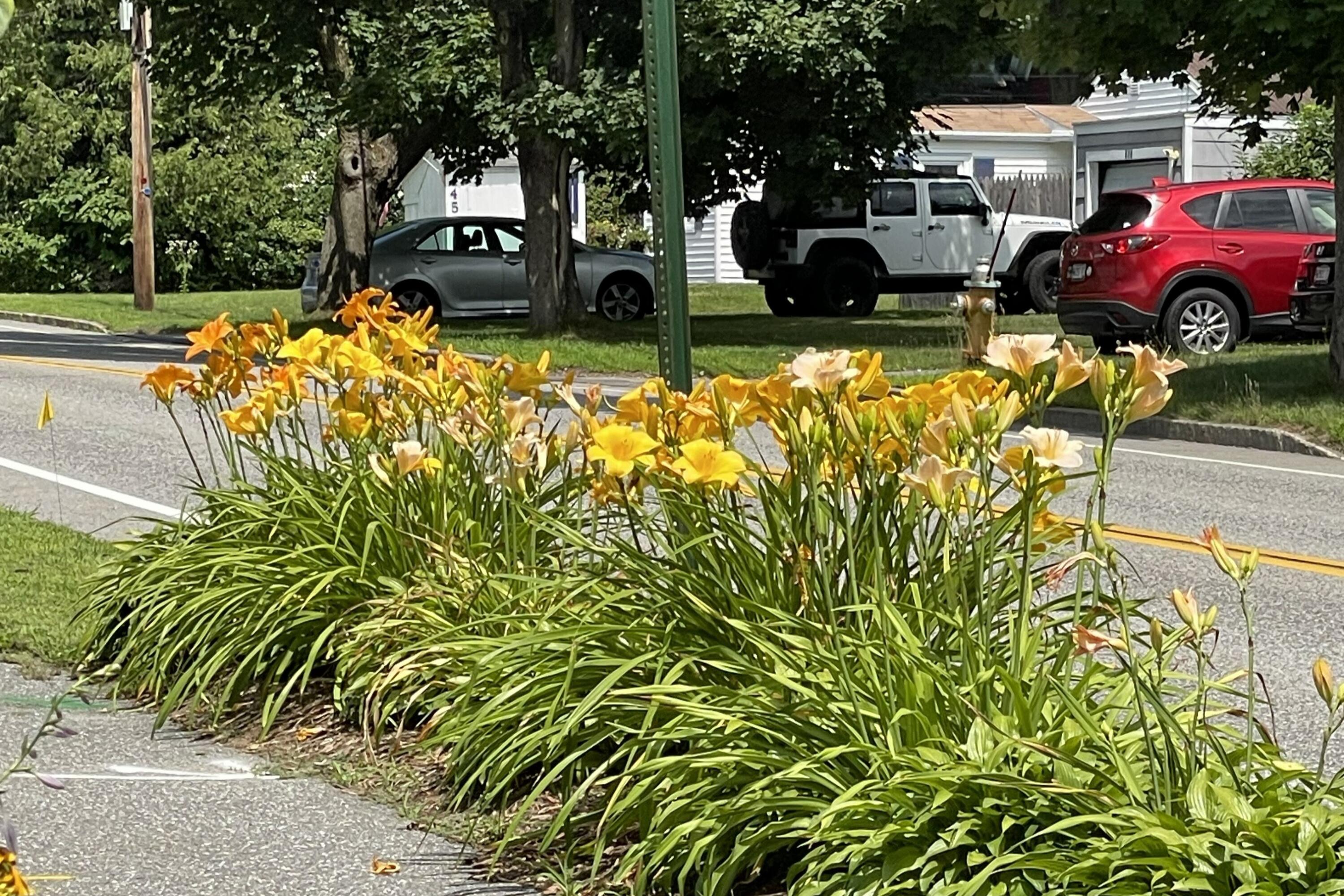 428 Allen Avenue Portland, ME 04103 - Photo 80 of 85 428 Allen15