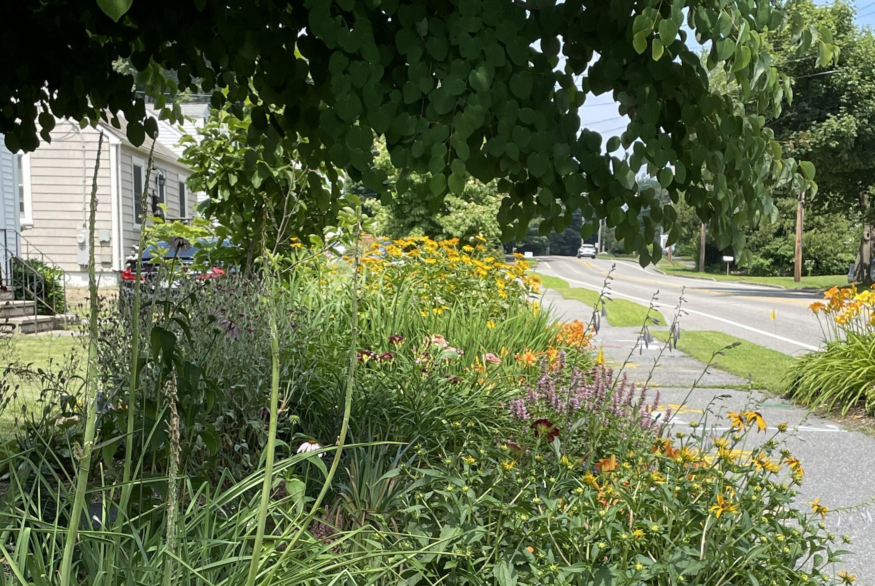 428 Allen Avenue Portland, ME 04103 - Photo 81 of 85 428 Allen7