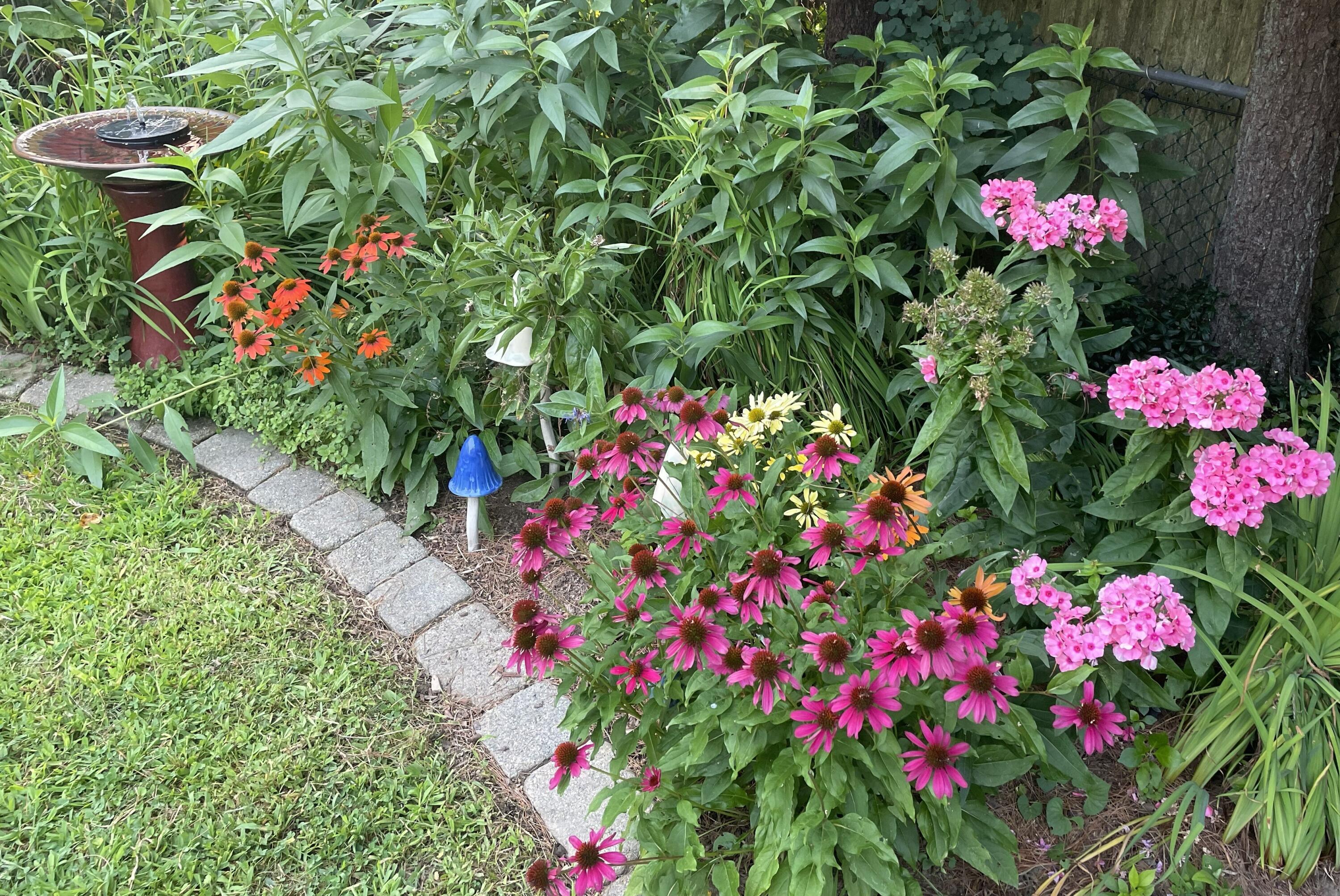 428 Allen Avenue Portland, ME 04103 - Photo 82 of 85 428 Allen5