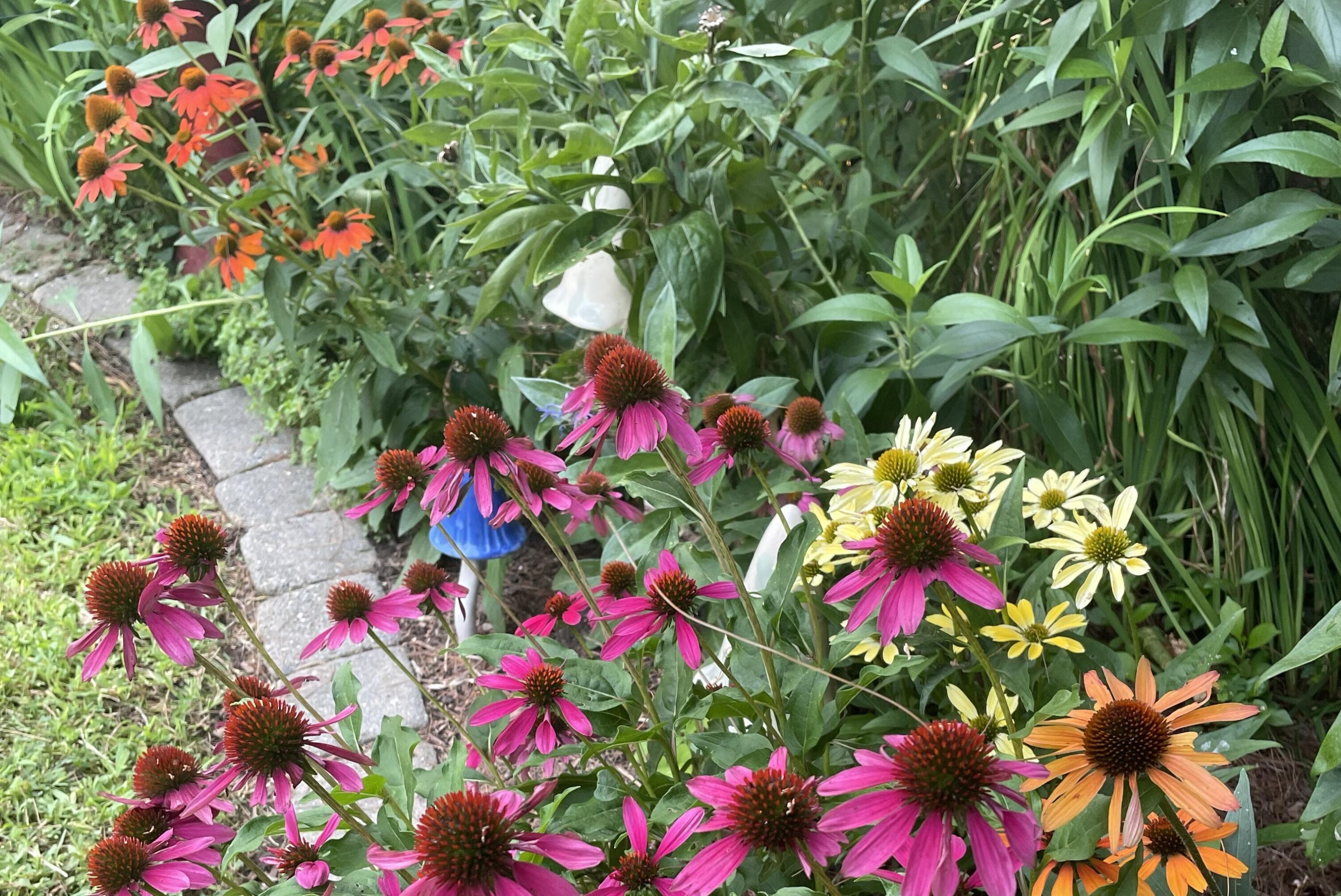 428 Allen Avenue Portland, ME 04103 - Photo 83 of 85 428 Allen6