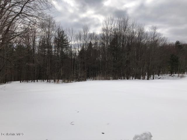 127 Welch Road Clarksburg, MA 01247 - Photo 3 of 6 a view of large trees with wooden fence
