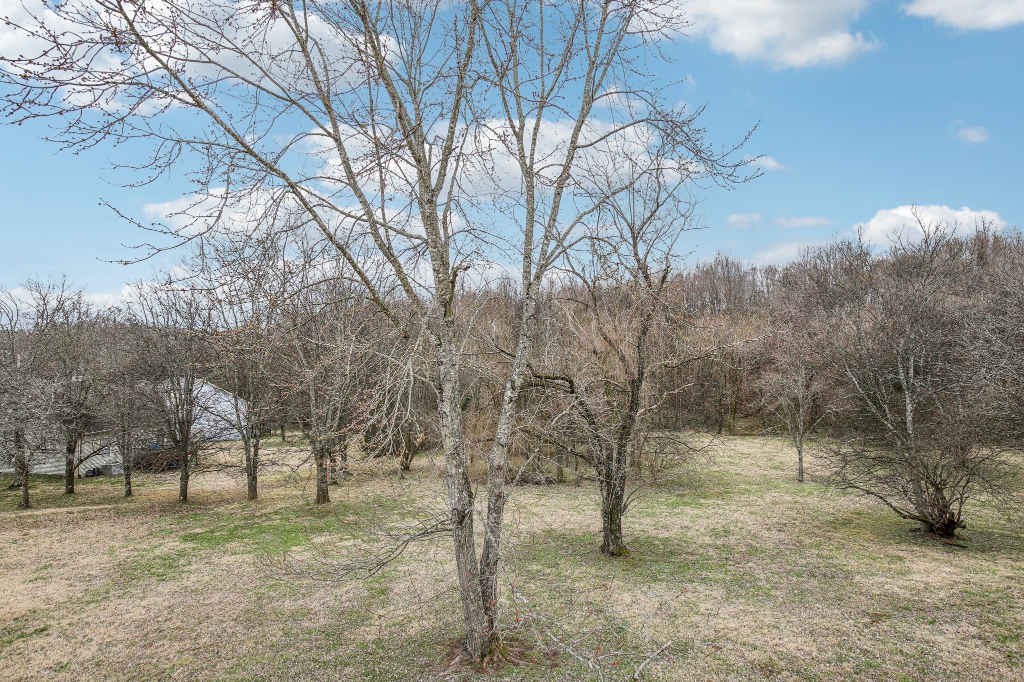 103 Pine Grove Road Mount Juliet, TN 37122 - Photo 59 of 63 Gallery Image 59