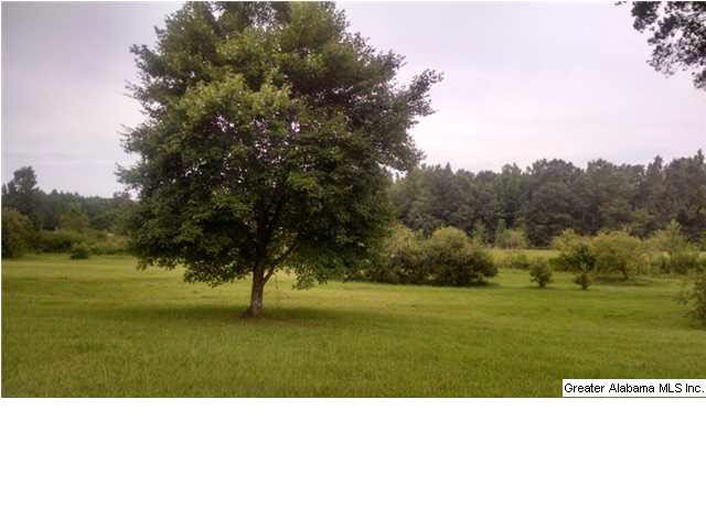 5080 Roy Webb Road Jacksonville, AL 36265 - Photo 23 of 31