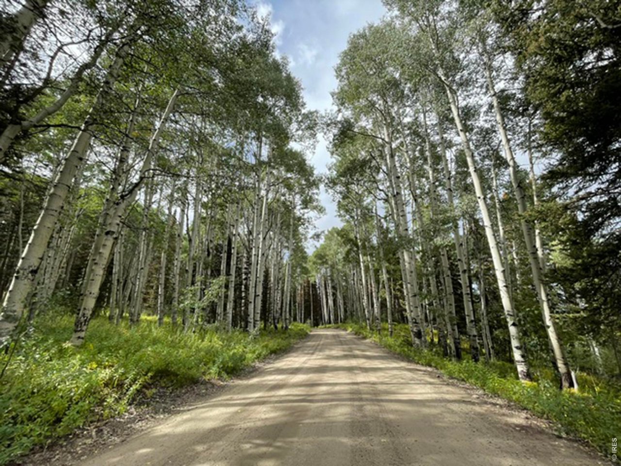 3894 4th Of July Road Nederland, CO 80466 - Photo 29 of 30 Wait till the Aspens change