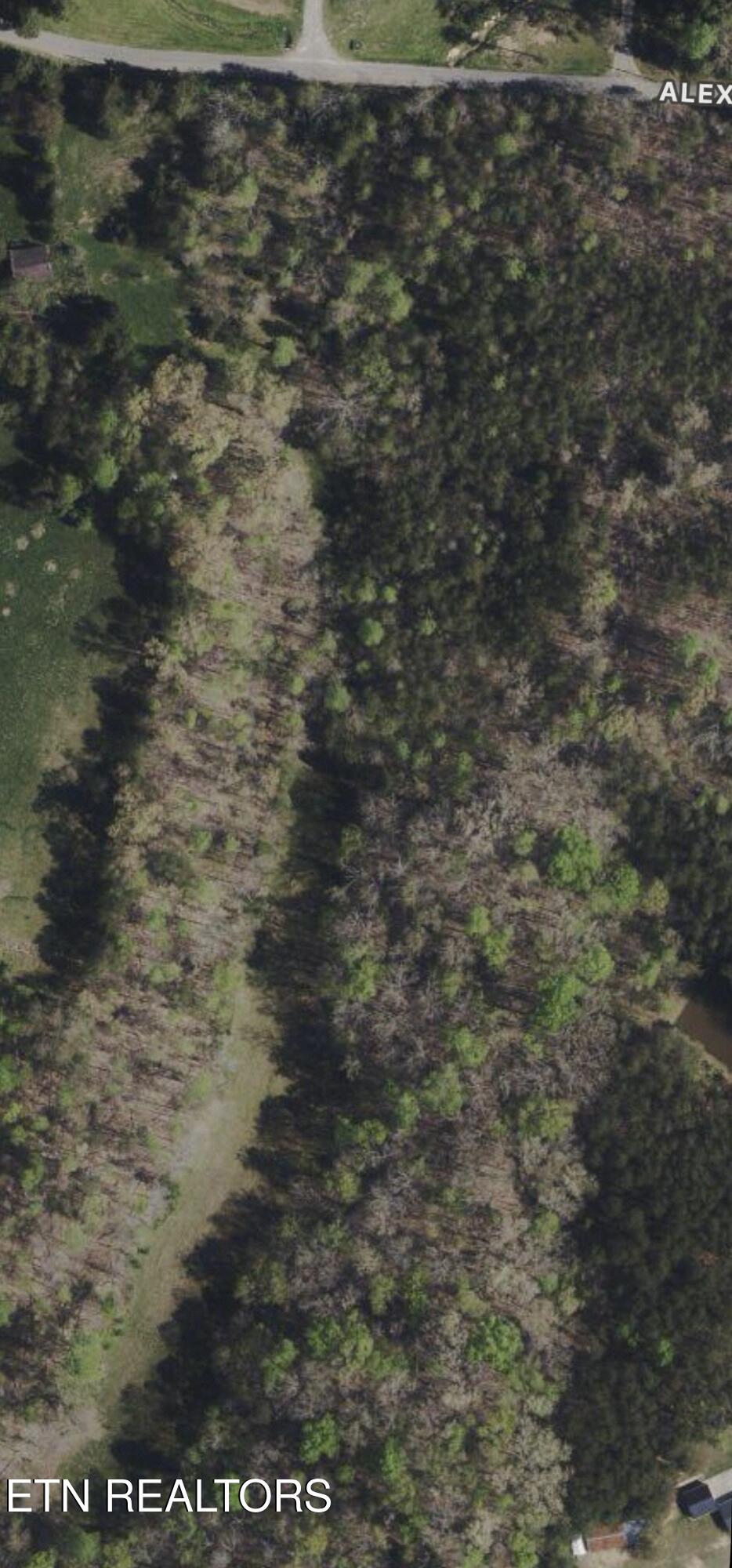 Alex Bales Road Kodak, TN 37764 - Photo 2 of 5 AlexBales Clearing