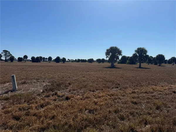 a view of a field with trees in background