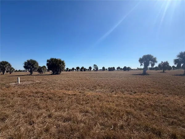 a view of a dry field with trees in background