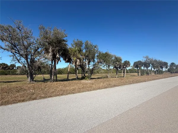 a view of road with tree in the background