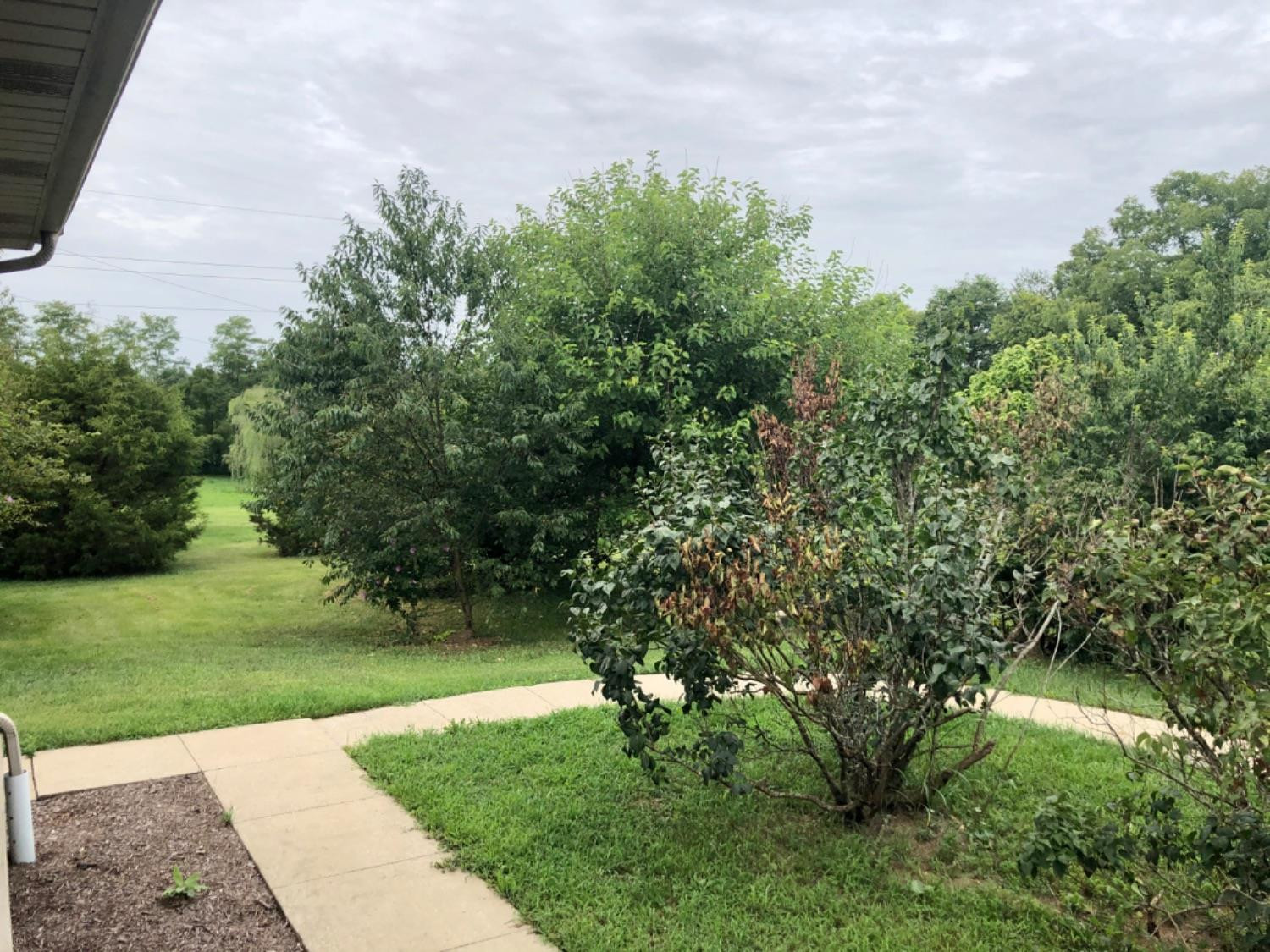 4750 Stewart Road Lexington, KY 40516 - Photo 51 of 53 Photo 51