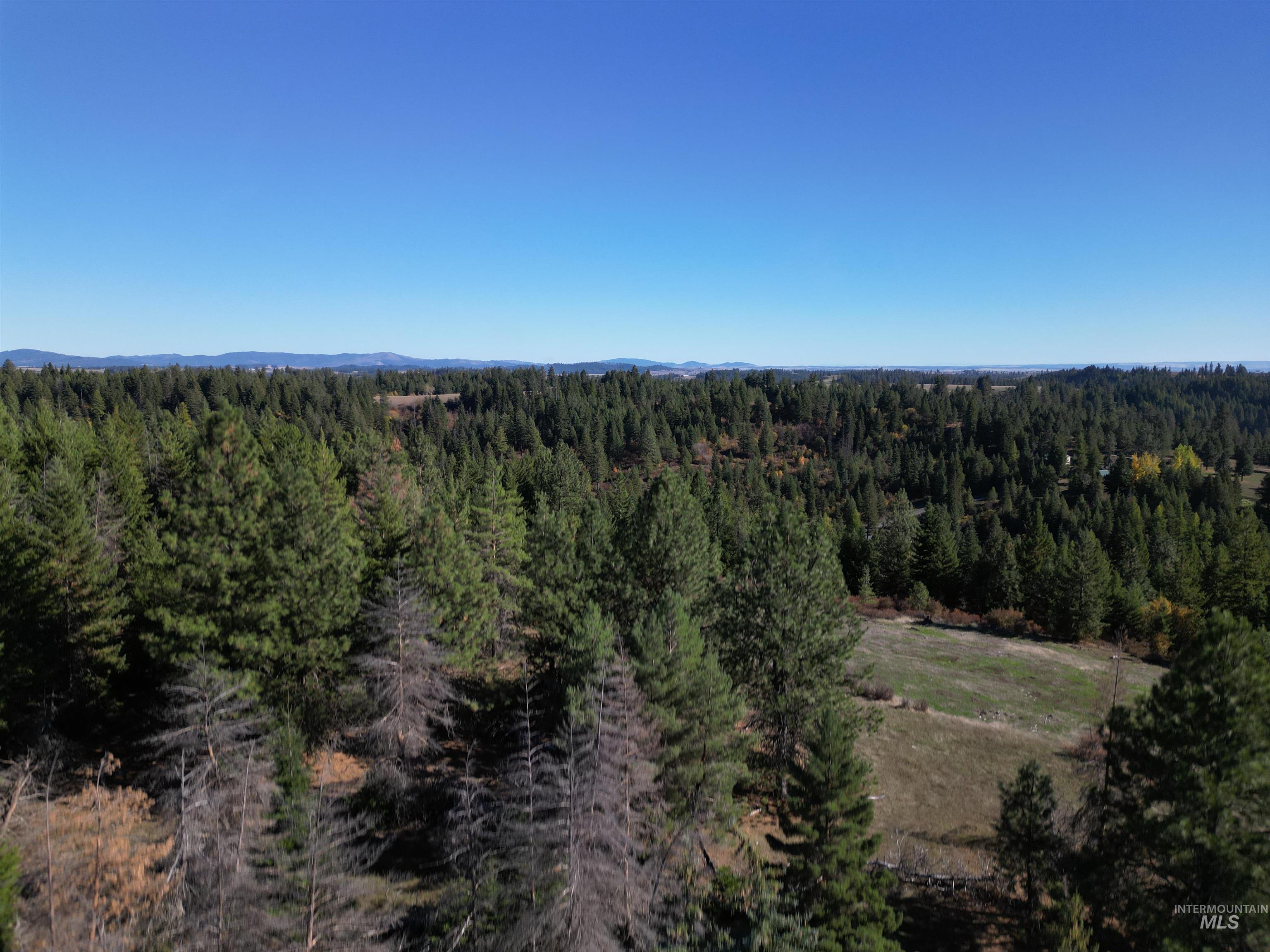 0 Spring Valley Road Troy, ID 83871 - Photo 14 of 21 Gallery Image 14