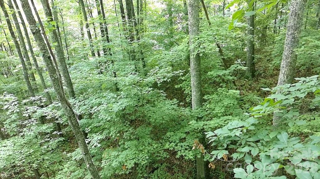 1873 Unahala Creek Road Bryson City, NC 28713 - Photo 8 of 11