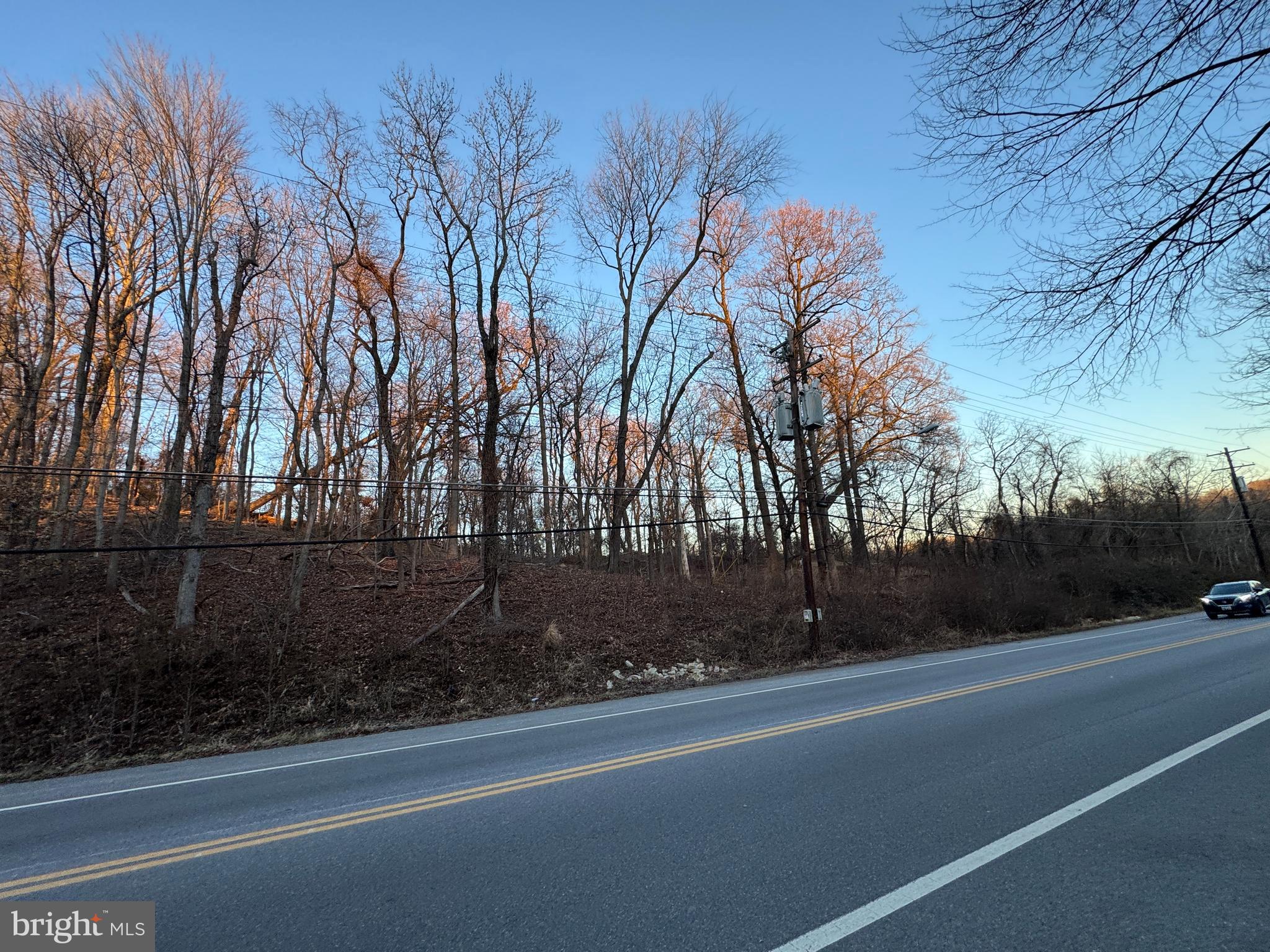 Wheeler Road Temple Hills, MD 20748 - Photo 6 of 14 a backyard of a house with lots of green space