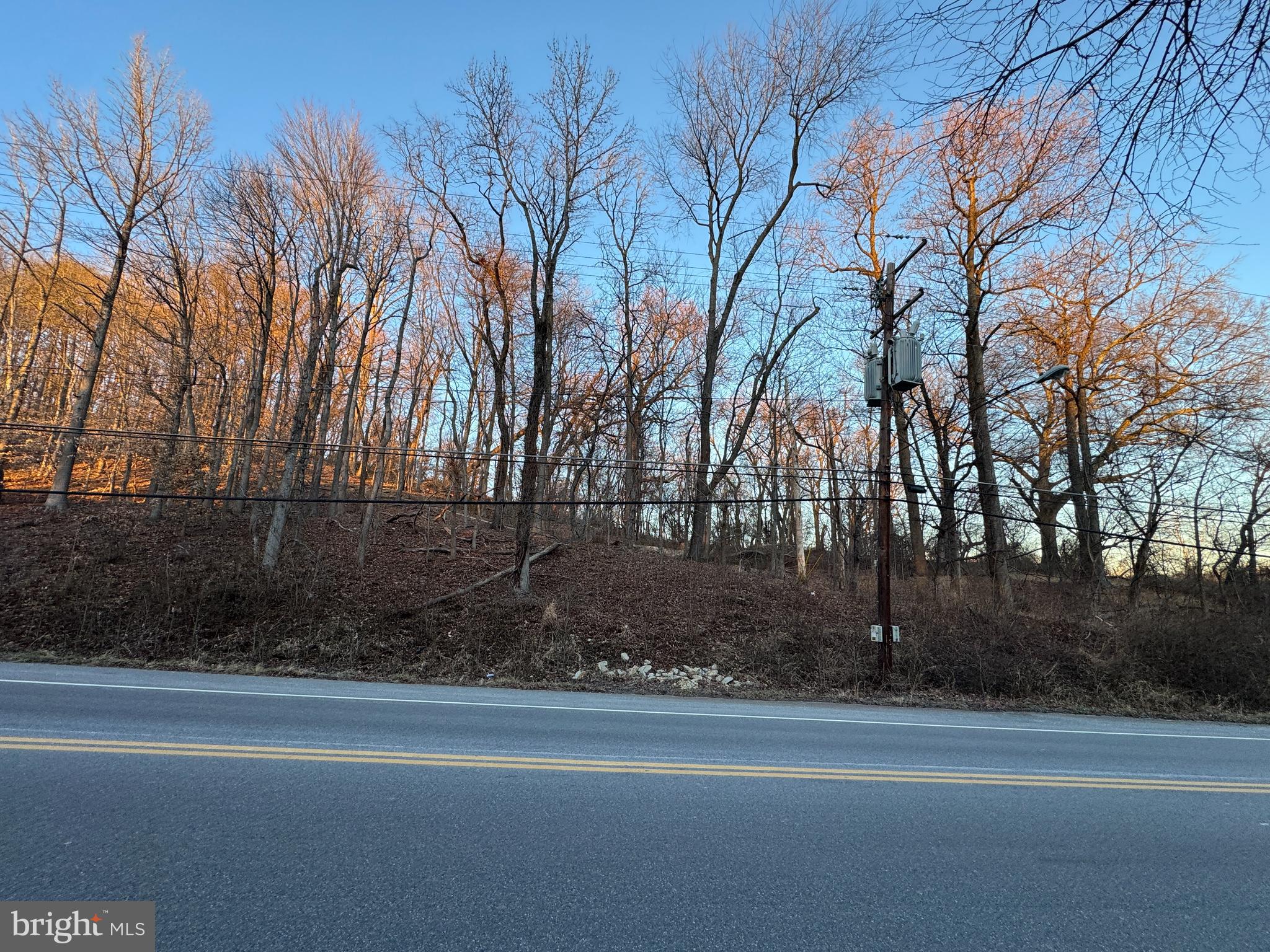 Wheeler Road Temple Hills, MD 20748 - Photo 9 of 14 a view of a yard