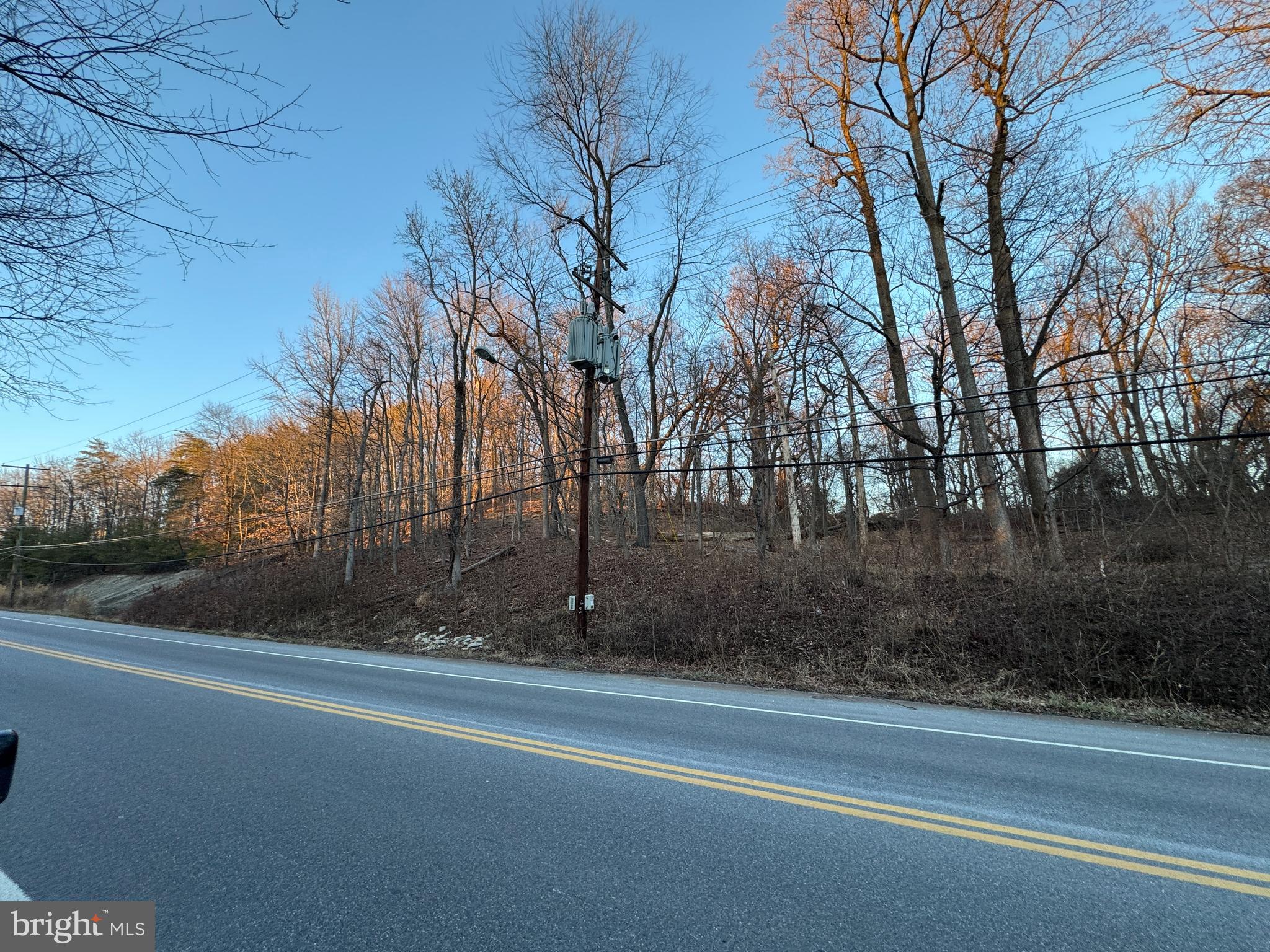 Wheeler Road Temple Hills, MD 20748 - Photo 10 of 14 a view of a yard with large trees