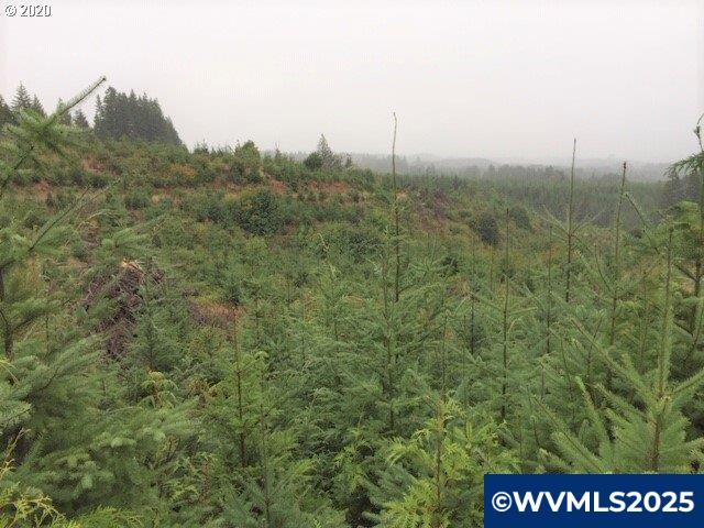 Northwest Ridge Road Forest Grove, OR 97116 - Photo 1 of 8