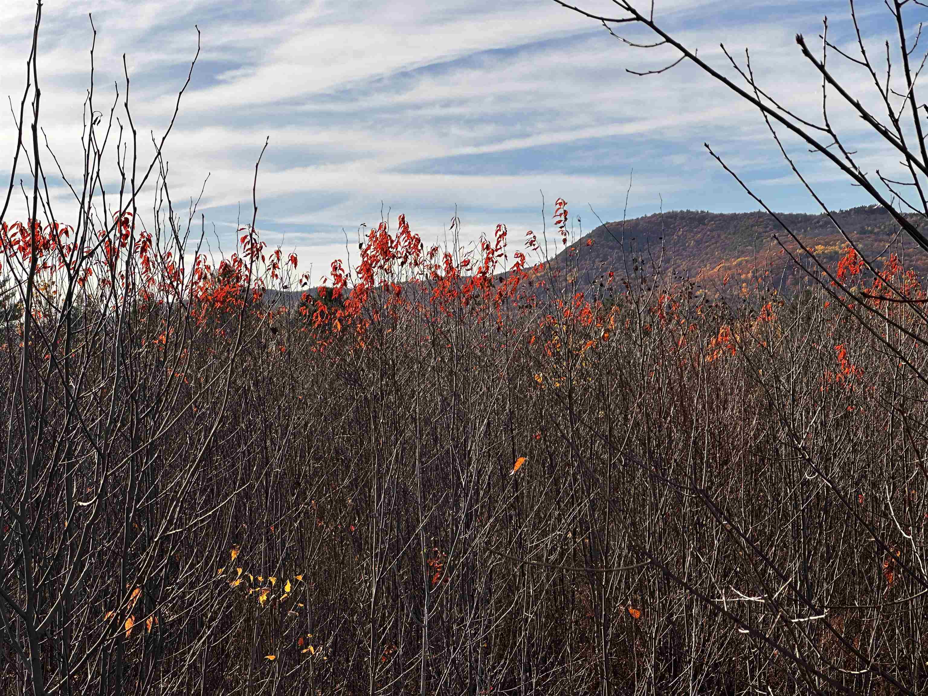 Tbd Mcintyre Road, Unit 7 Dalton, NH 03598 - Photo 10 of 19