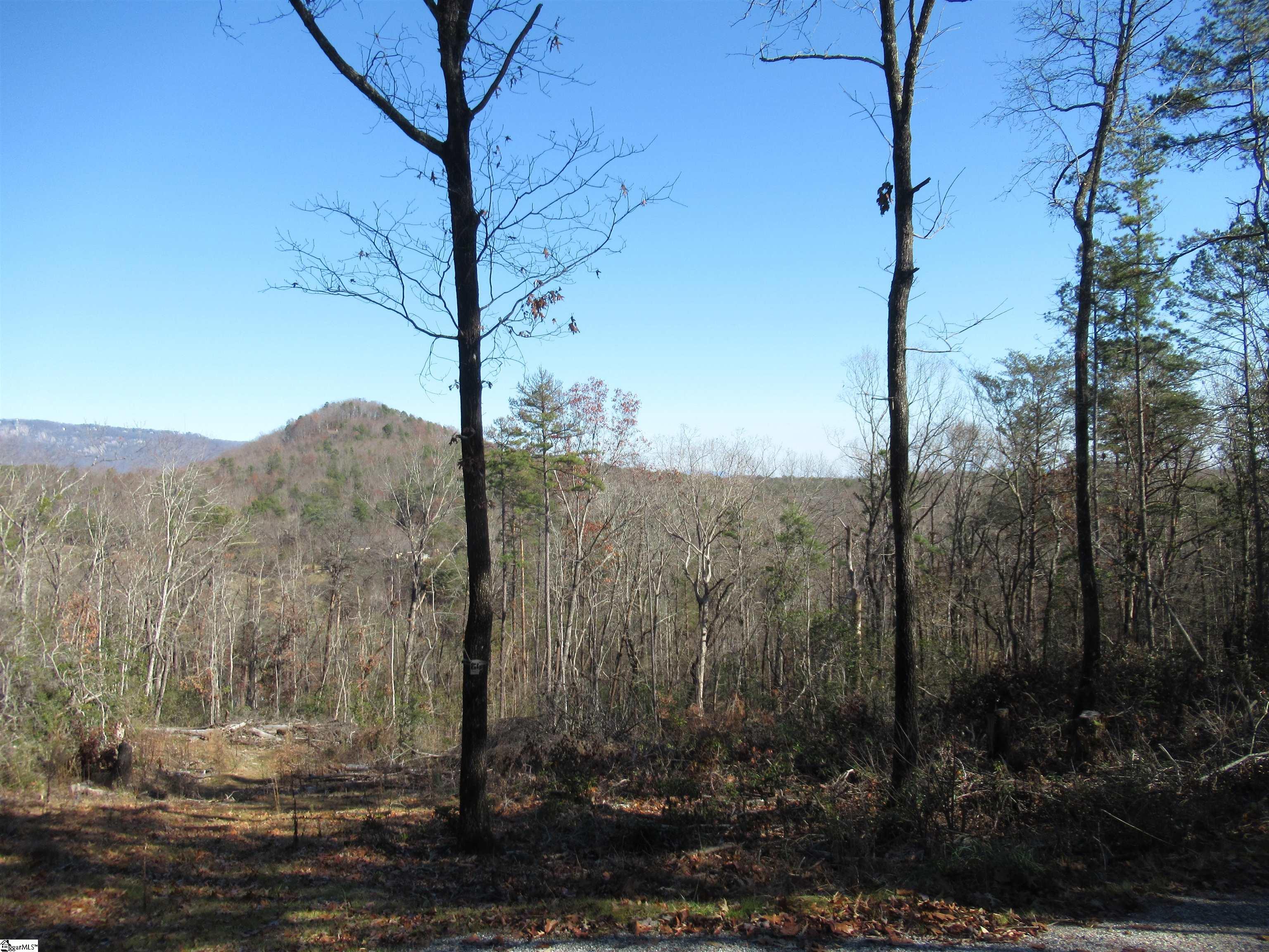 34-35 36 Curts Way, Unit 34 35 36 Cleveland, SC 29635 - Photo 9 of 31