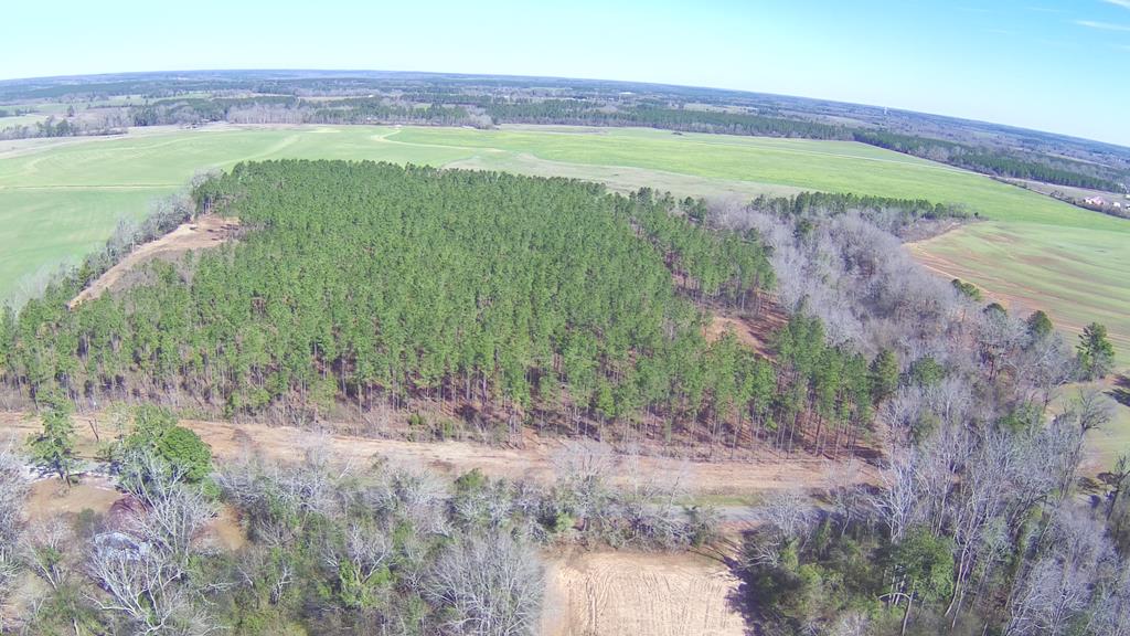 1 Ozark Road Newville, AL 36353 - Photo 2 of 4