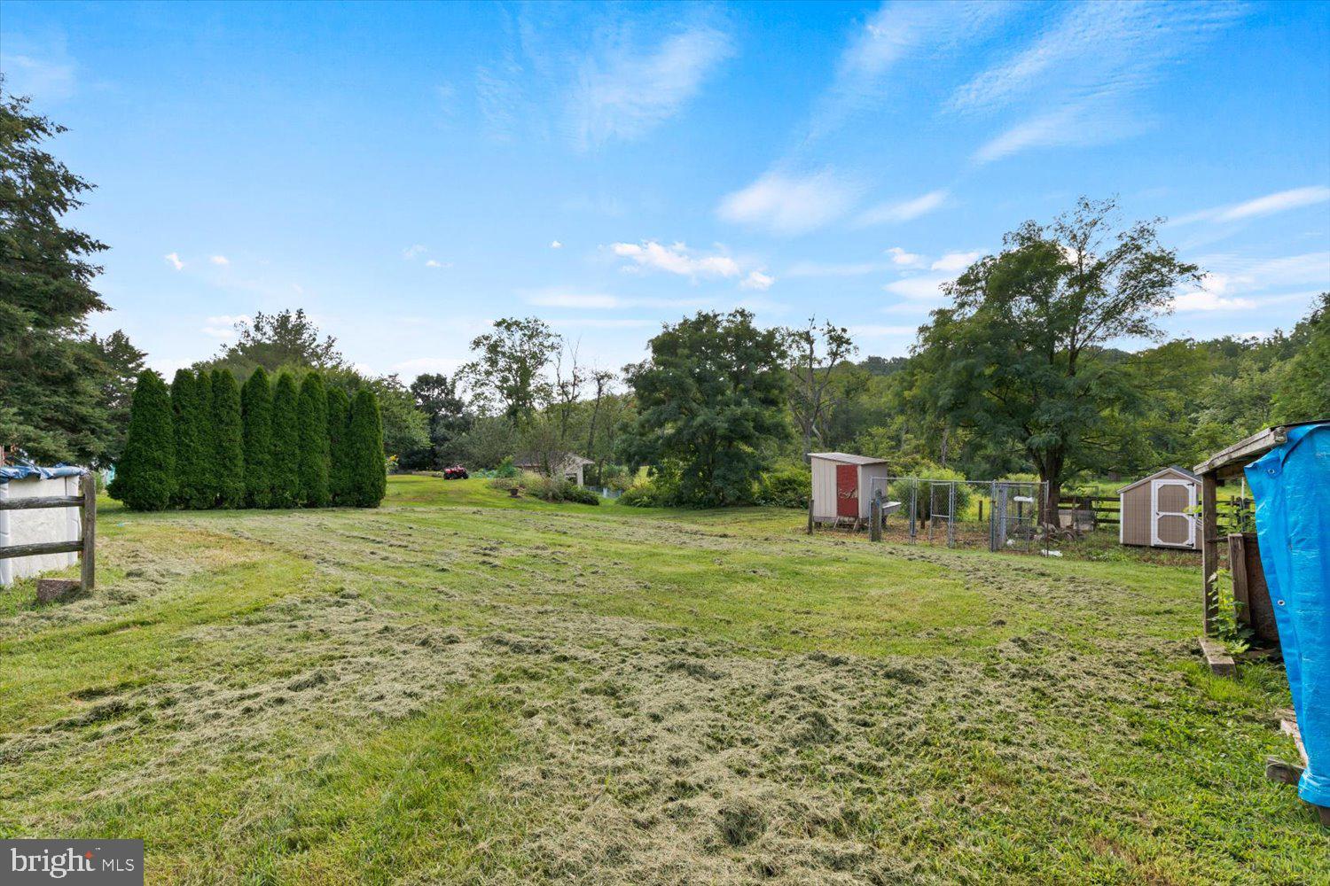 360 Galen Hall Road Reinholds, PA 17569 - Photo 29 of 34 Backyard w/Chicken Coop