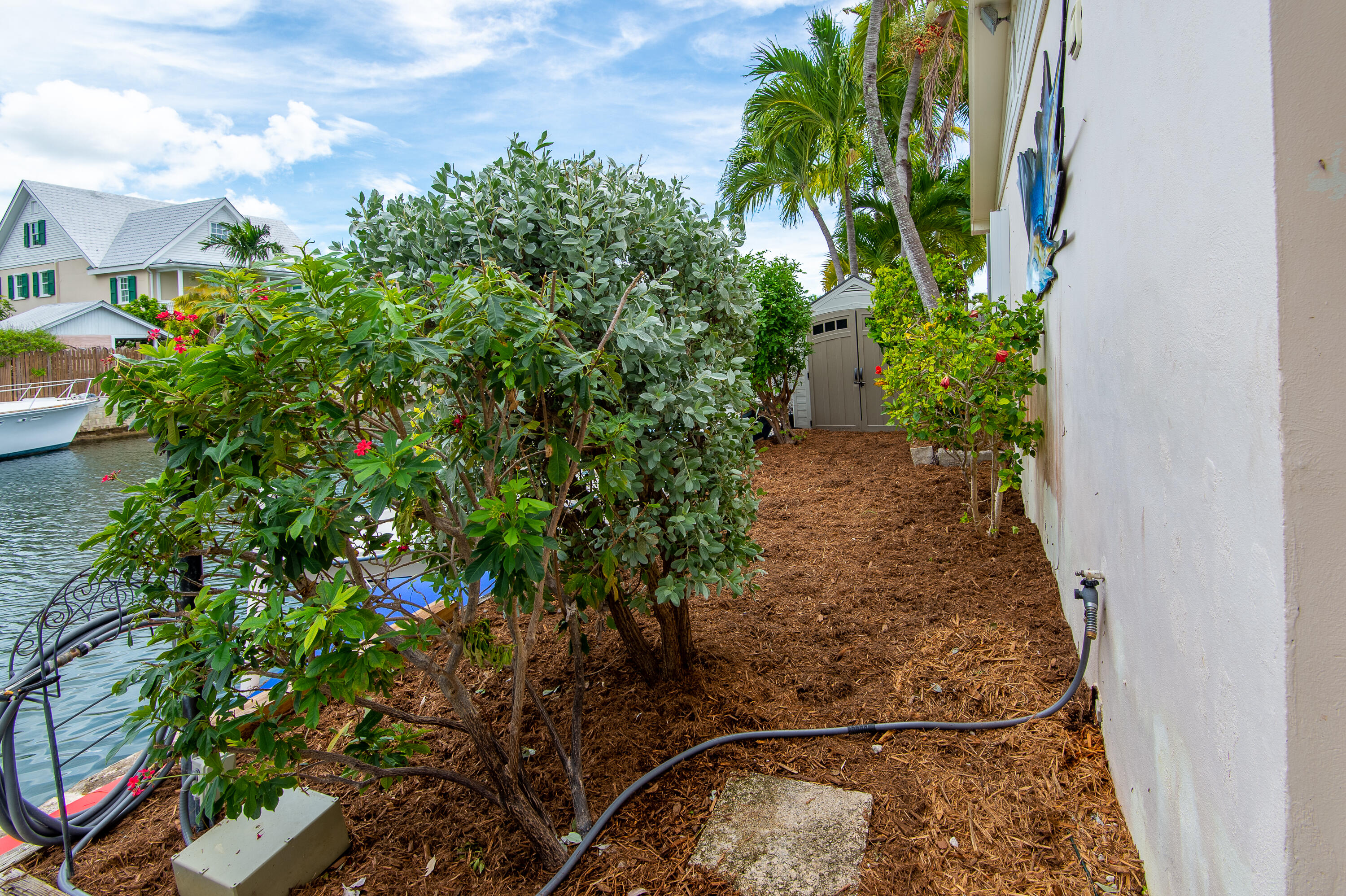 34 Key Haven Road Key West, FL 33040 - Photo 37 of 45 a view of a yard with plants