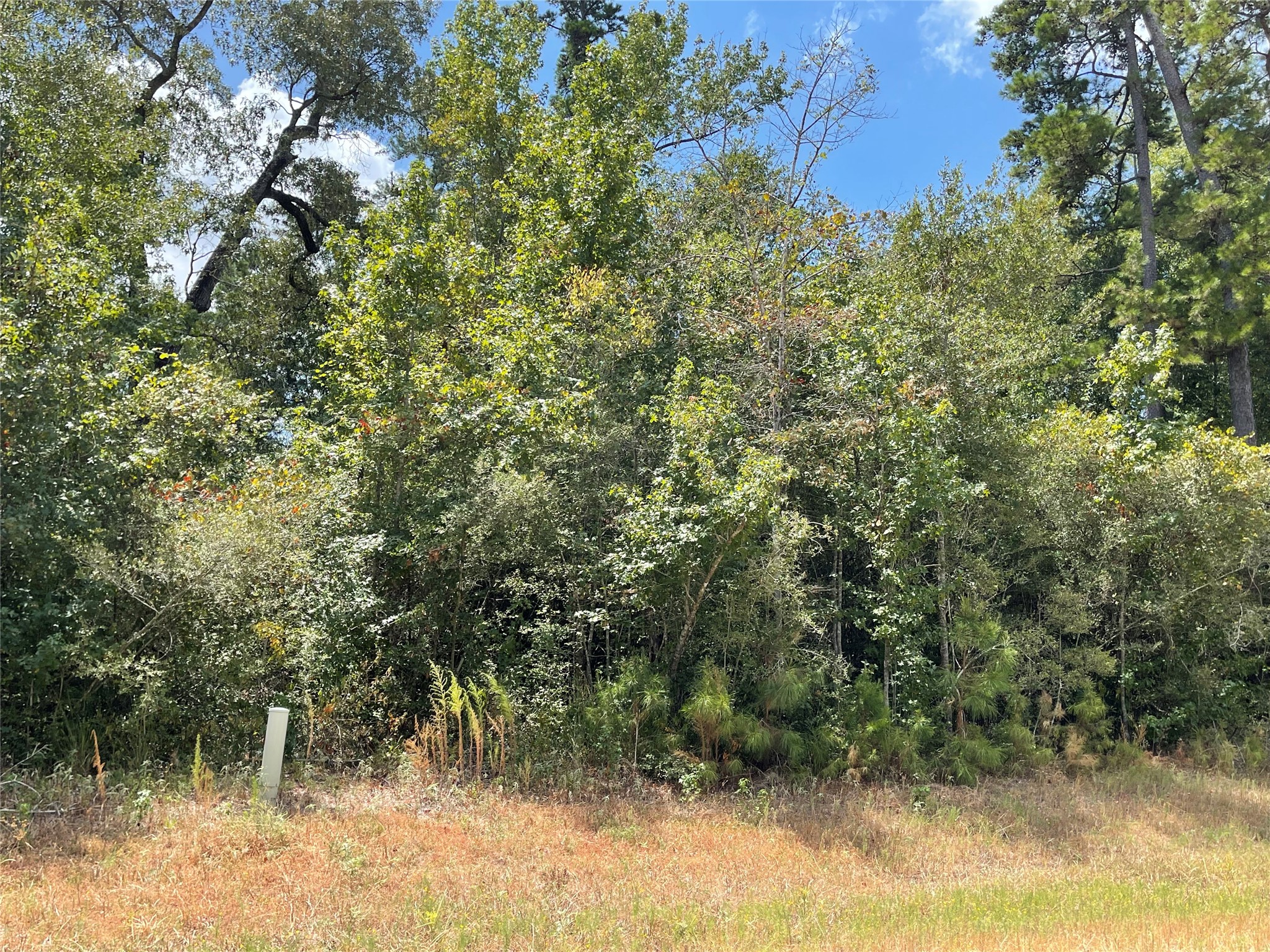4-a-12-9 Red Hawk Road Huntsville, TX 77340 - Photo 11 of 29 a view of a lake with top of house