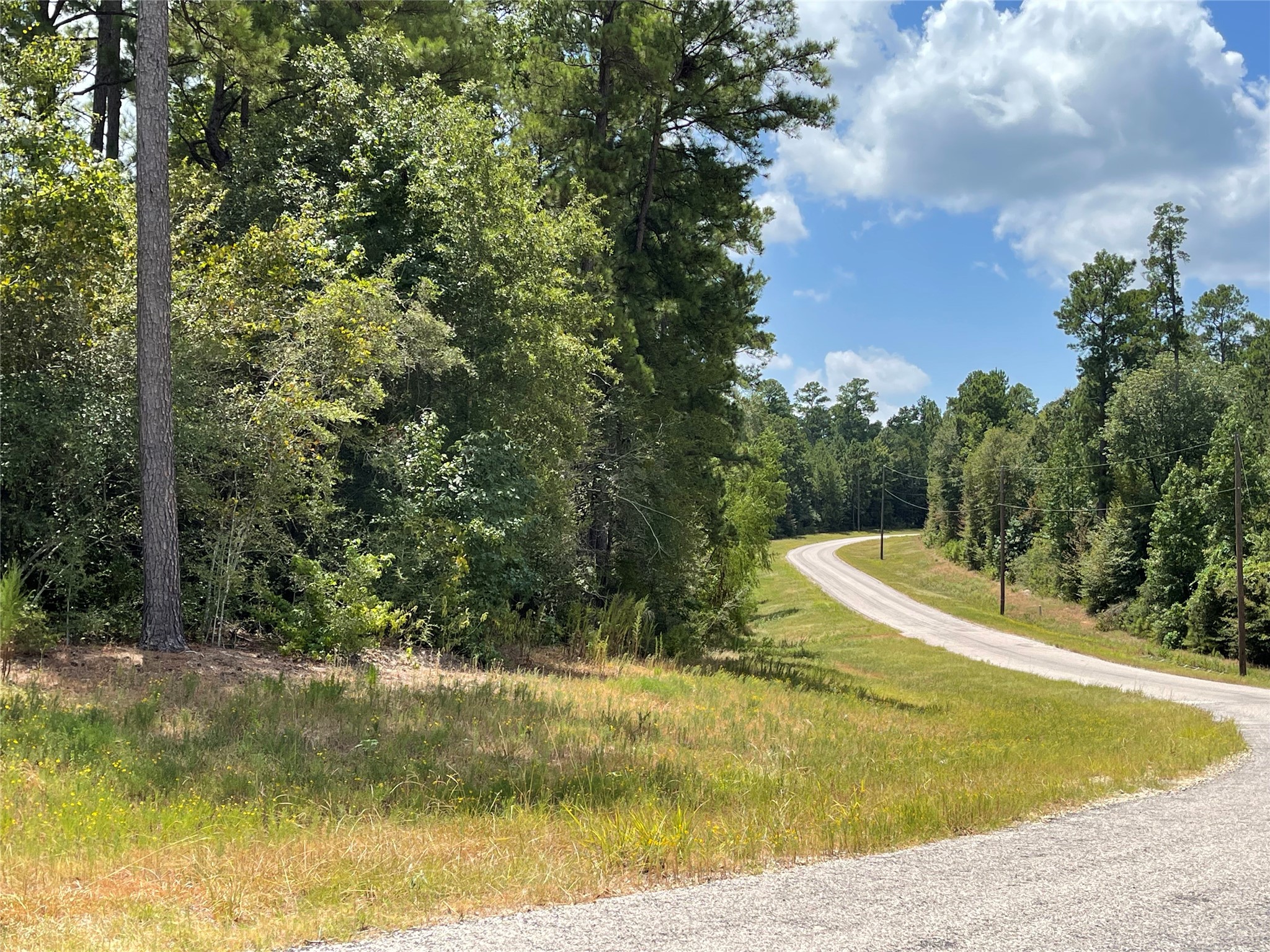 4-a-12-9 Red Hawk Road Huntsville, TX 77340 - Photo 12 of 29 a view of a swimming pool with a yard
