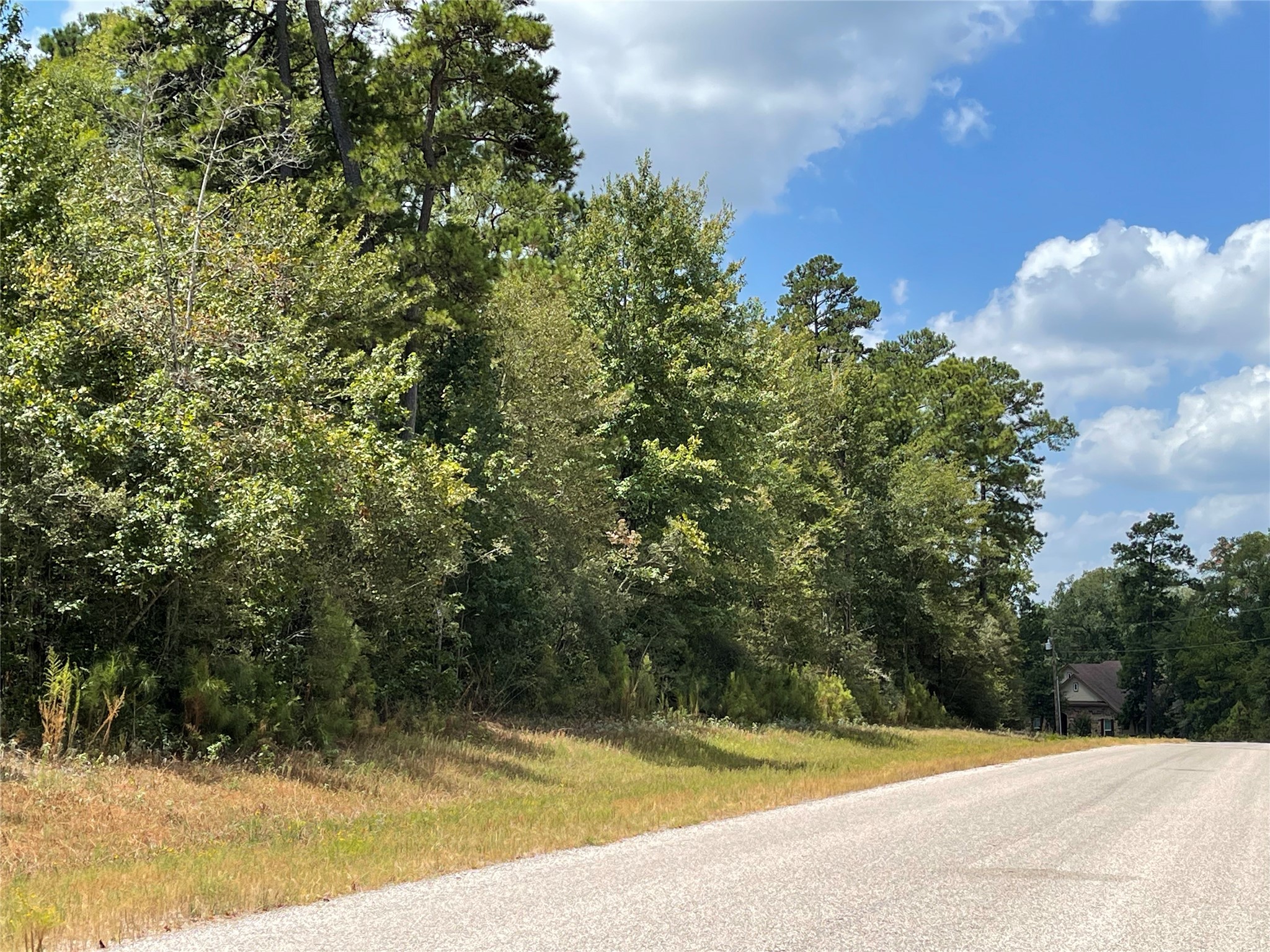 4-a-12-9 Red Hawk Road Huntsville, TX 77340 - Photo 13 of 29 a view of a yard with potted plants